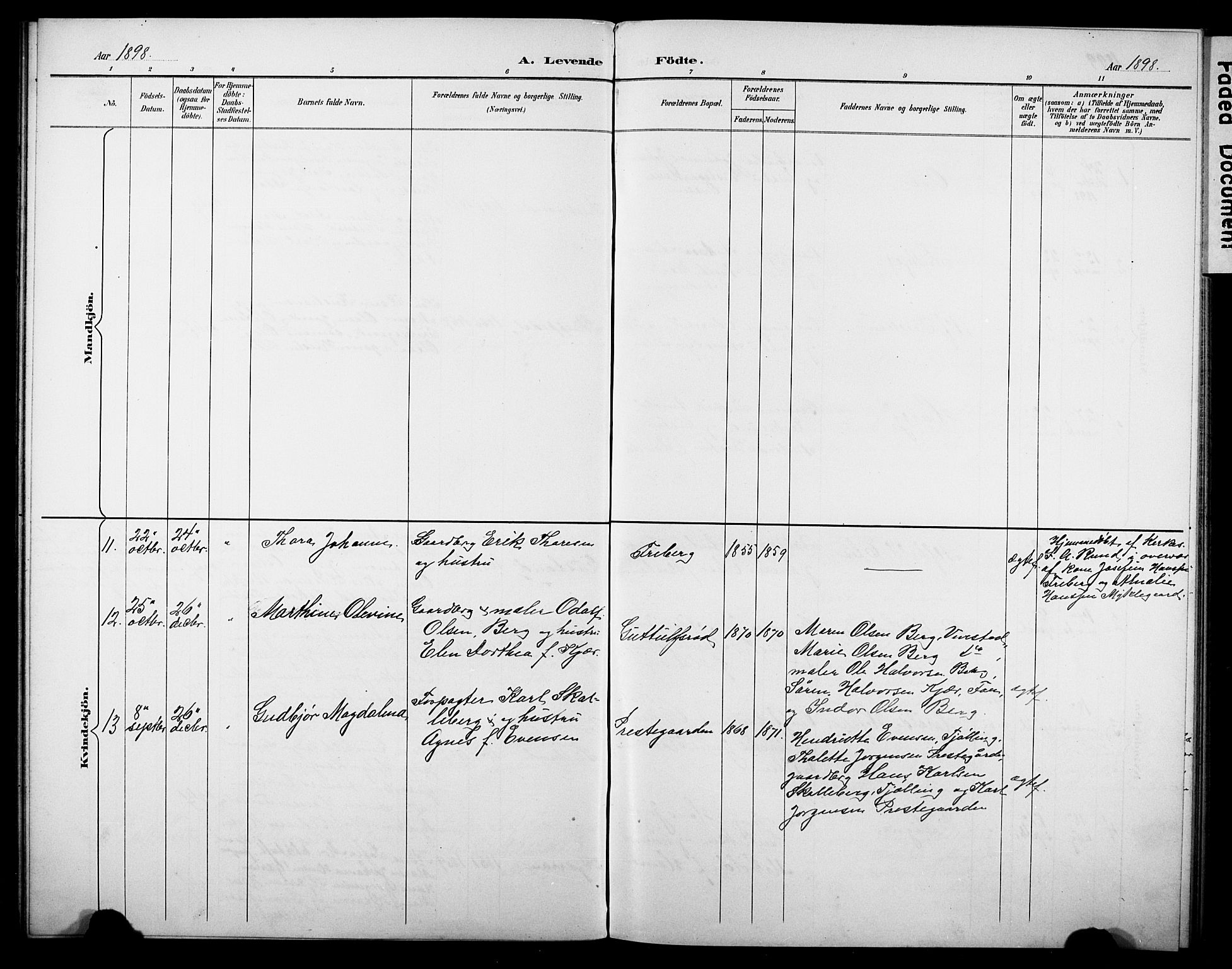 Borre kirkebøker, AV/SAKO-A-338/G/Gb/L0003: Parish register (copy) no. II 3, 1893-1905