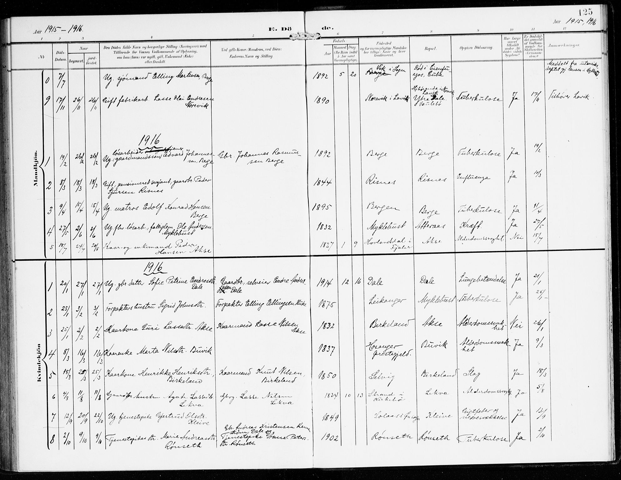 Hyllestad sokneprestembete, SAB/A-80401: Parish register (official) no. B 2, 1903-1917, p. 125