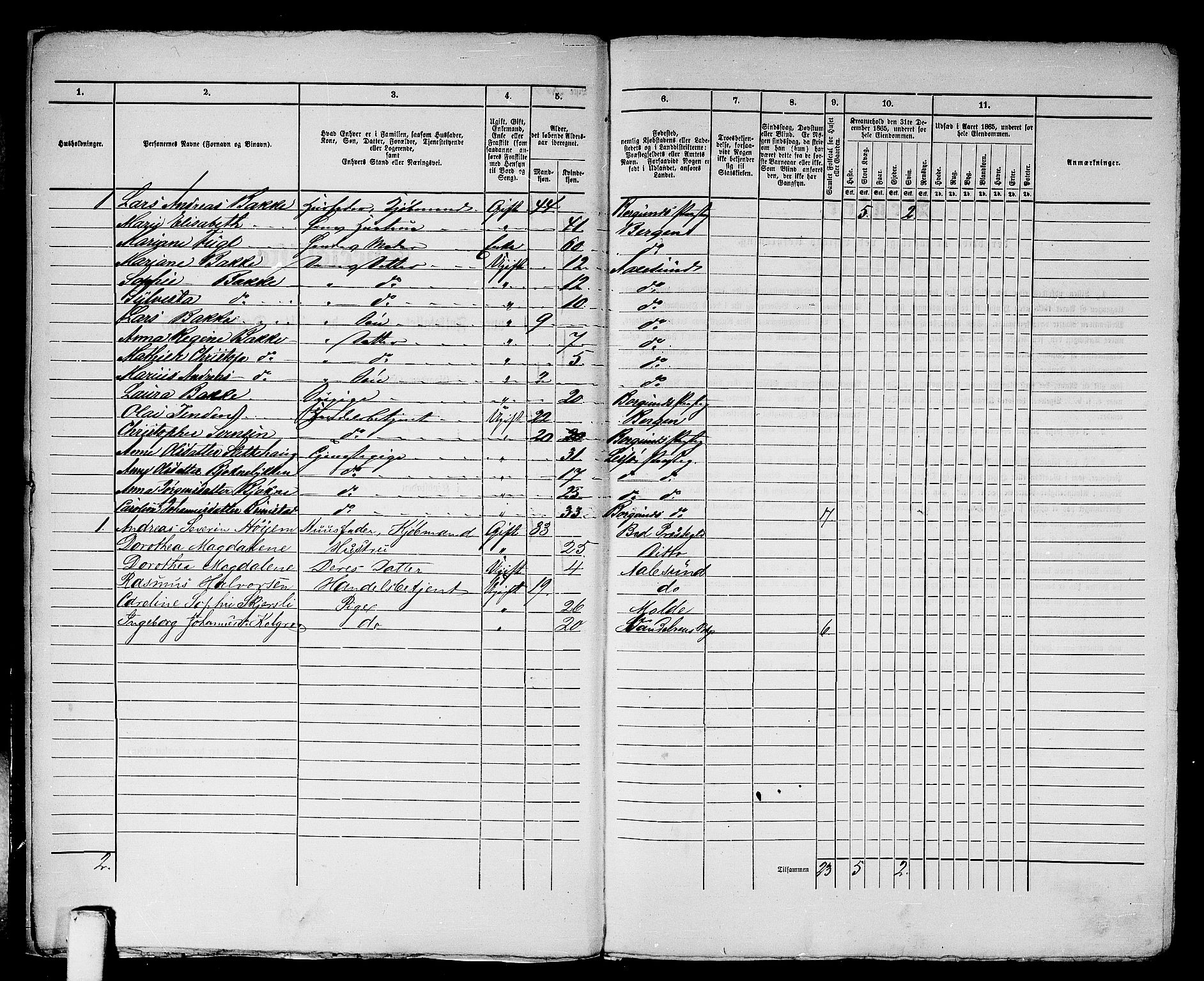 RA, 1865 census for Ålesund, 1865, p. 15