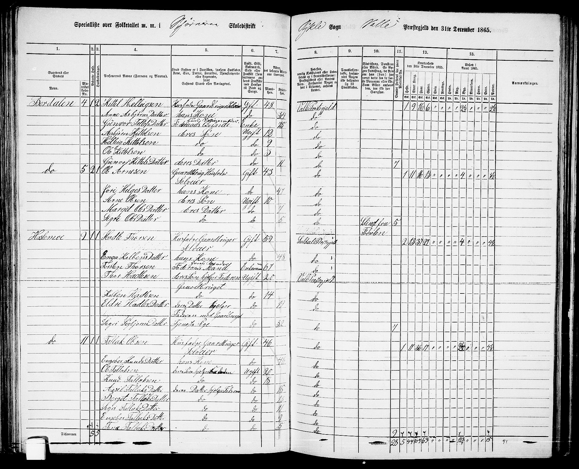 RA, 1865 census for Valle, 1865, p. 74