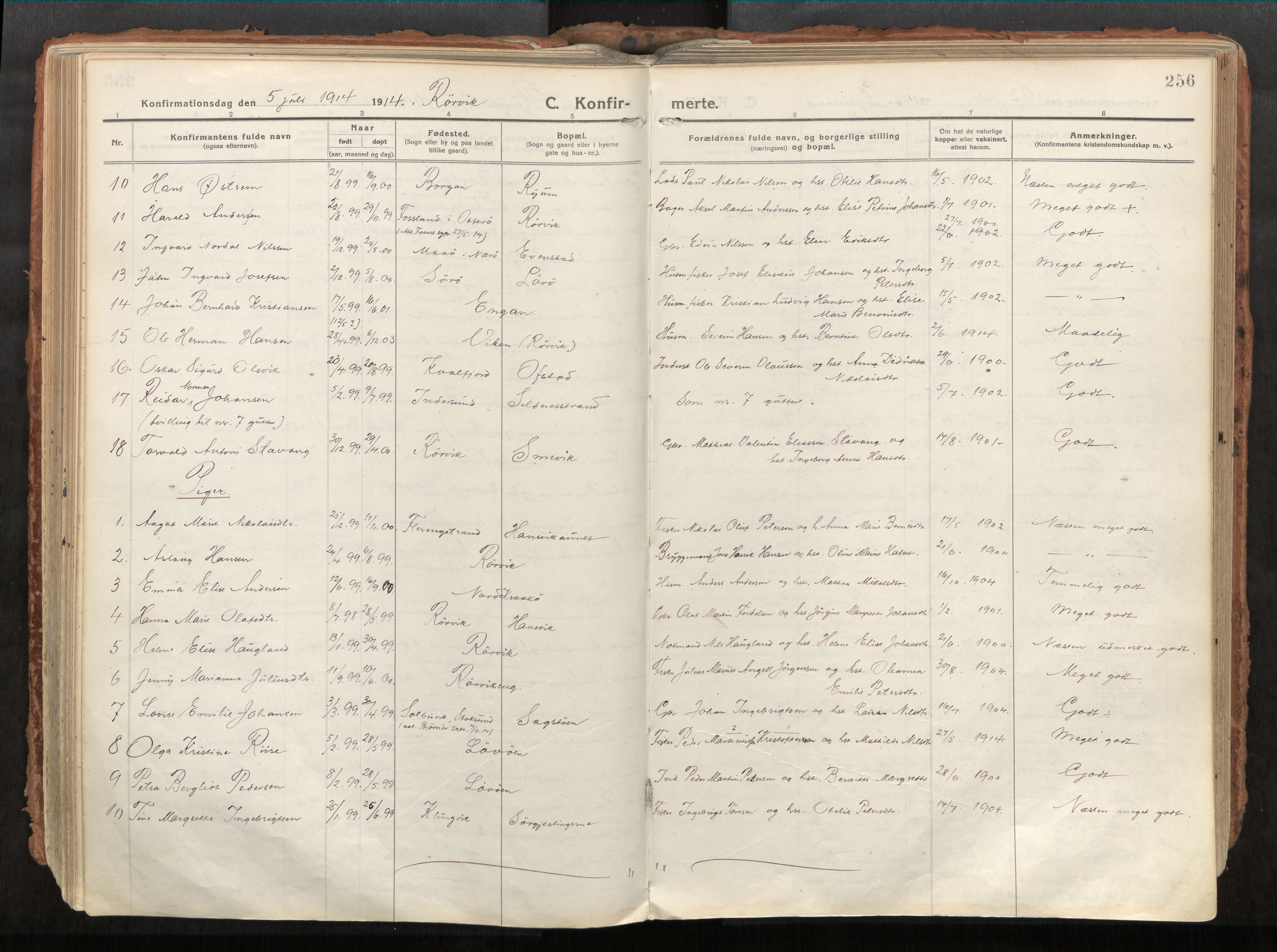 Vikna sokneprestkontor, AV/SAT-A-1173/1/I/I1/I1a/L0001: Parish register (official) no. 1, 1913-1934, p. 256