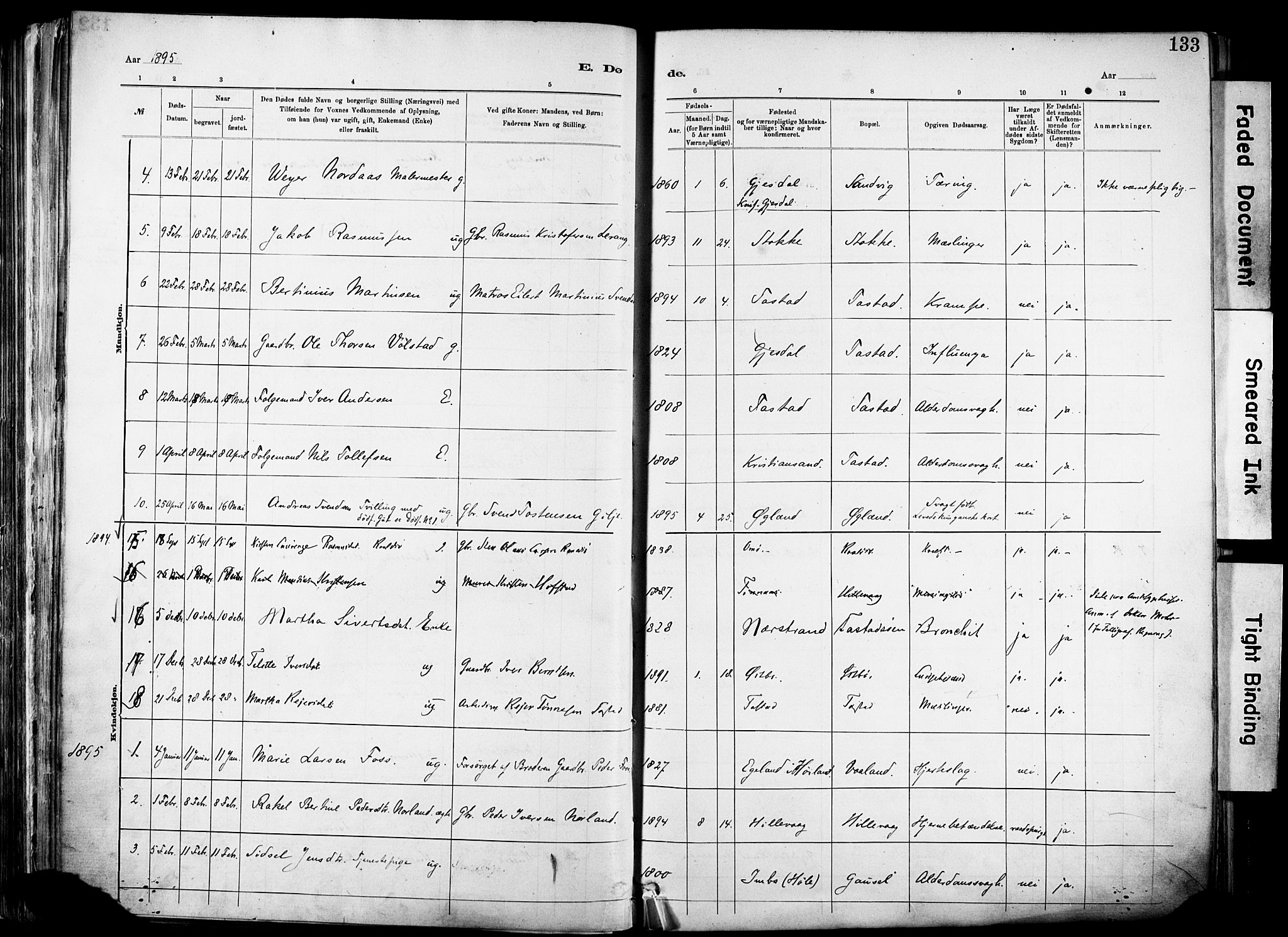 Hetland sokneprestkontor, SAST/A-101826/30/30BA/L0012: Parish register (official) no. A 12, 1882-1912, p. 133