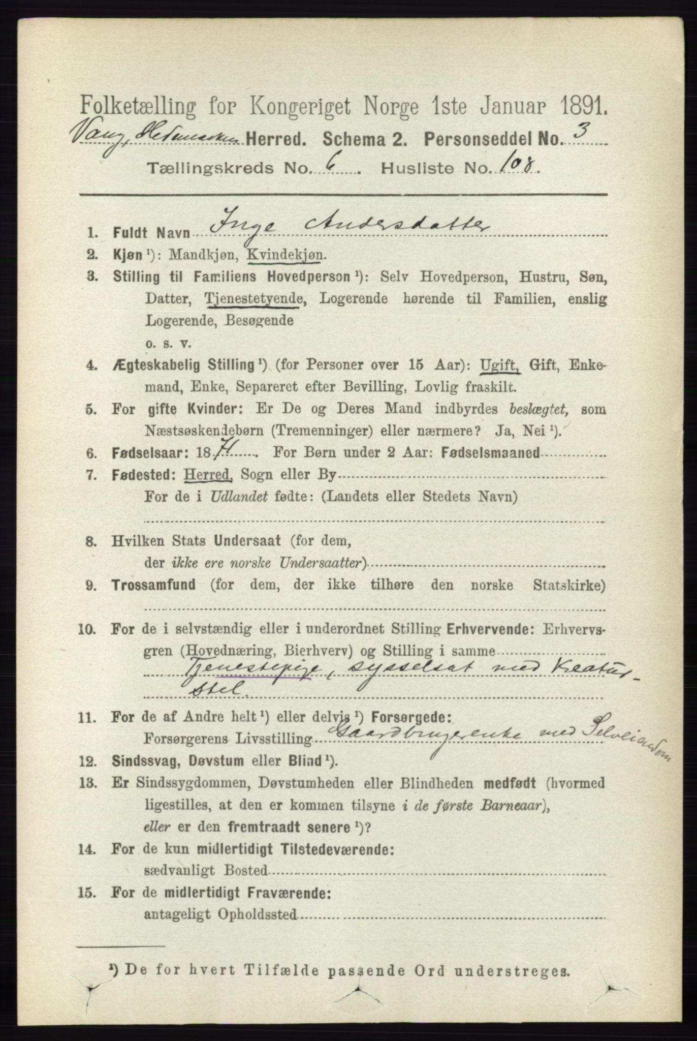 RA, 1891 census for 0414 Vang, 1891, p. 4910