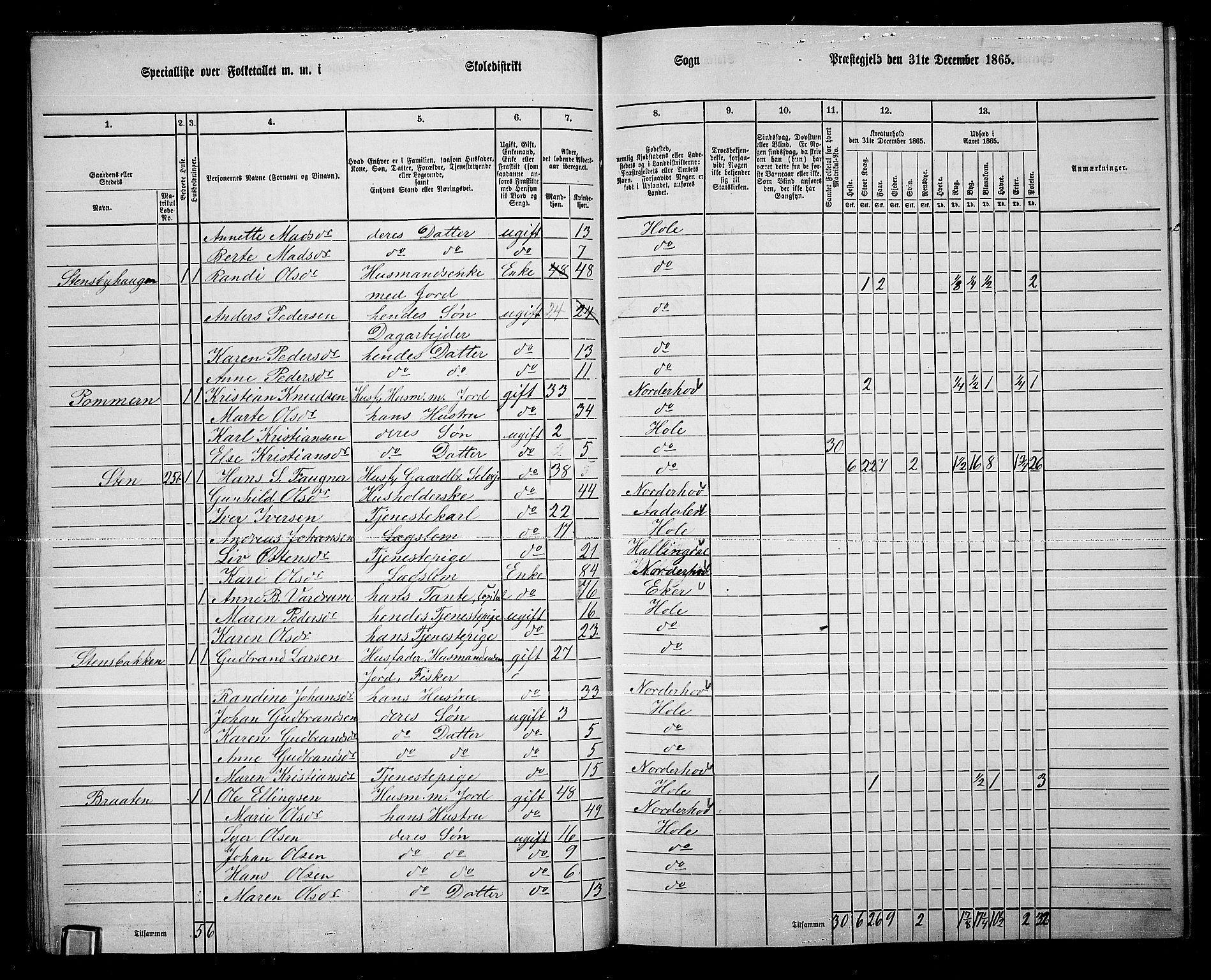 RA, 1865 census for Hole, 1865, p. 28