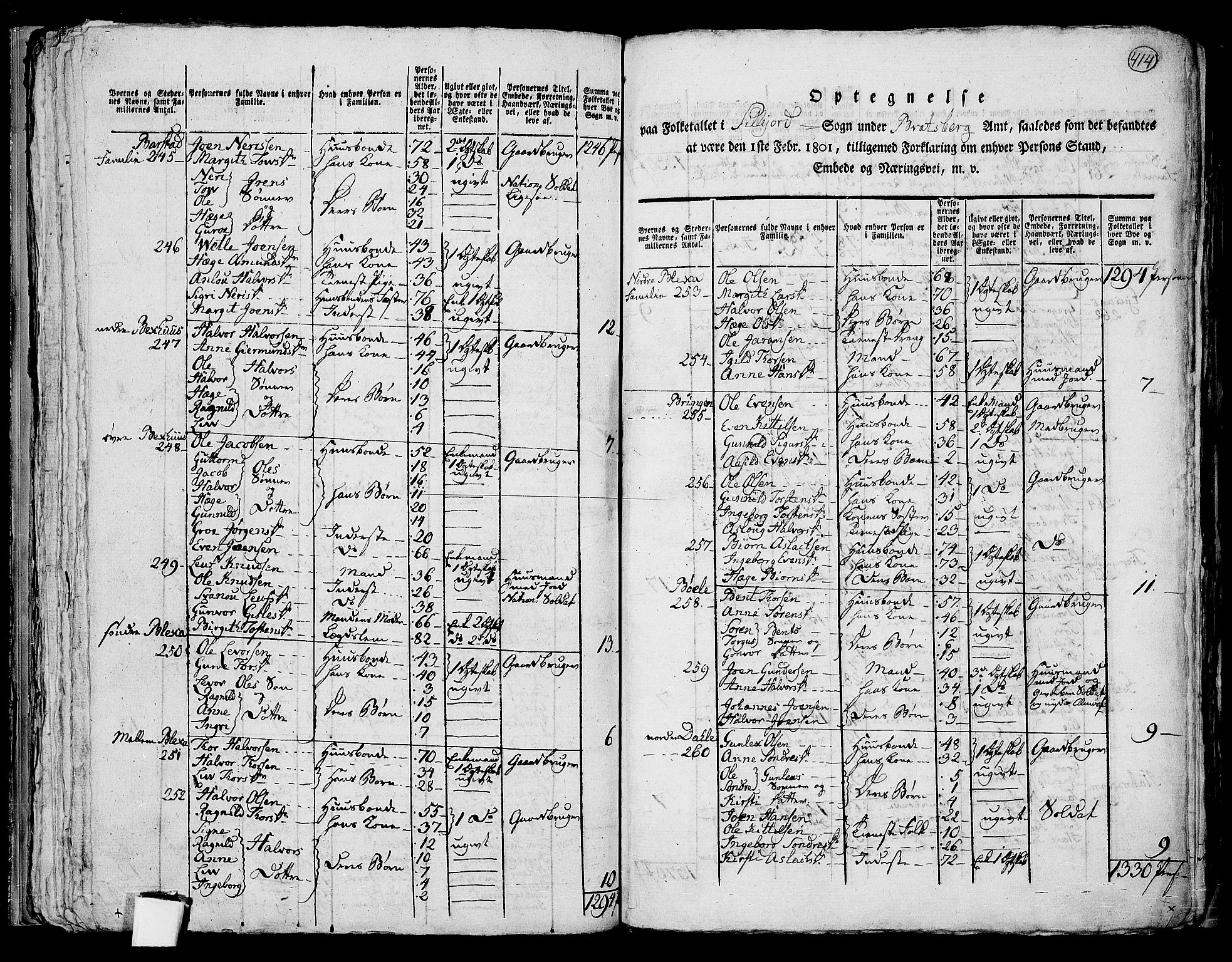 RA, 1801 census for 0828P Seljord, 1801, p. 413b-414a