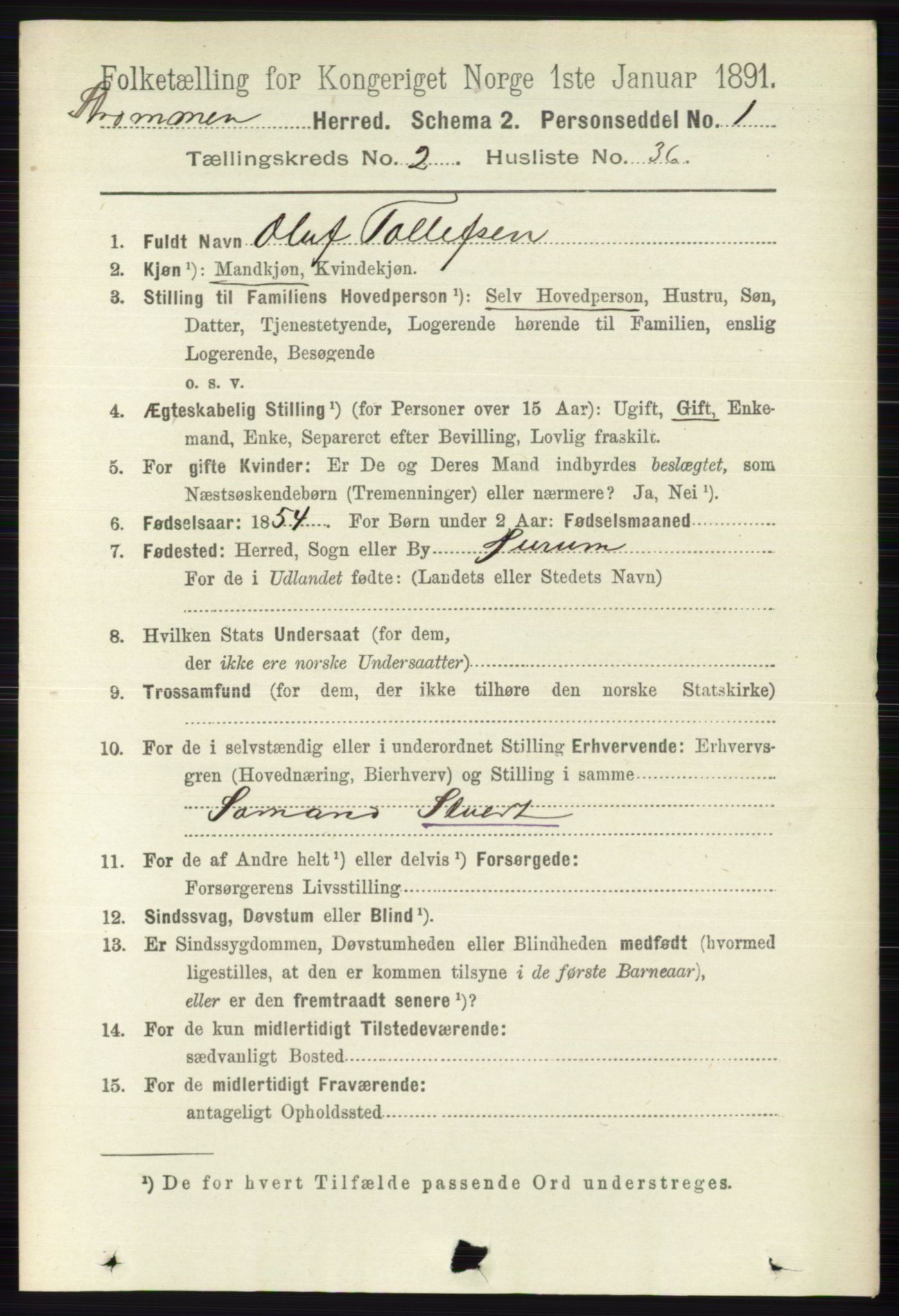 RA, 1891 census for 0711 Strømm, 1891, p. 903