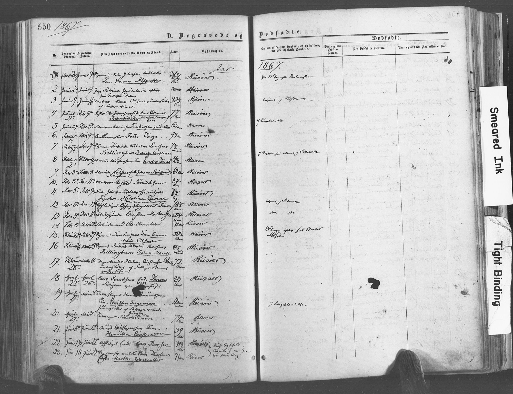 Risør sokneprestkontor, SAK/1111-0035/F/Fa/L0004: Parish register (official) no. A 4, 1865-1882, p. 550