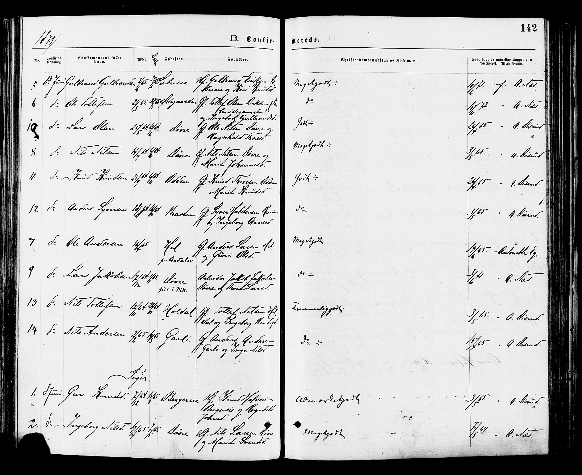 Nord-Aurdal prestekontor, AV/SAH-PREST-132/H/Ha/Haa/L0009: Parish register (official) no. 9, 1876-1882, p. 142