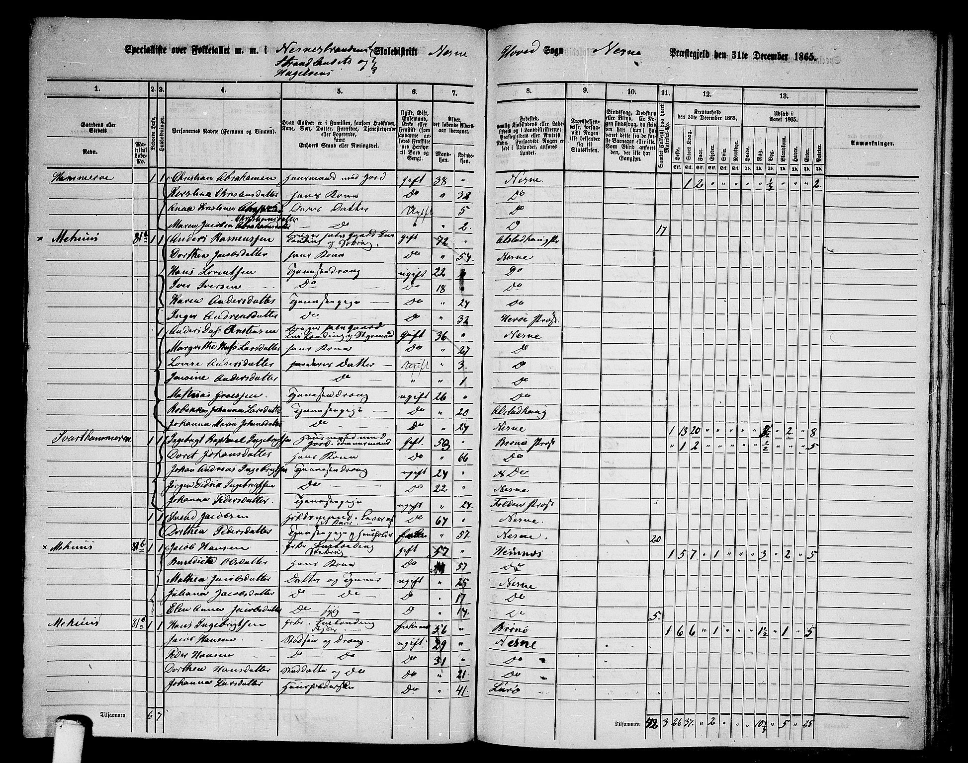 RA, 1865 census for Nesna, 1865, p. 124