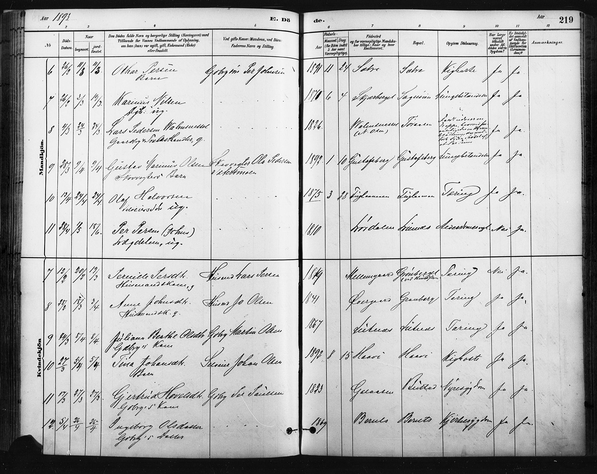 Trysil prestekontor, AV/SAH-PREST-046/H/Ha/Haa/L0009: Parish register (official) no. 9, 1881-1897, p. 219