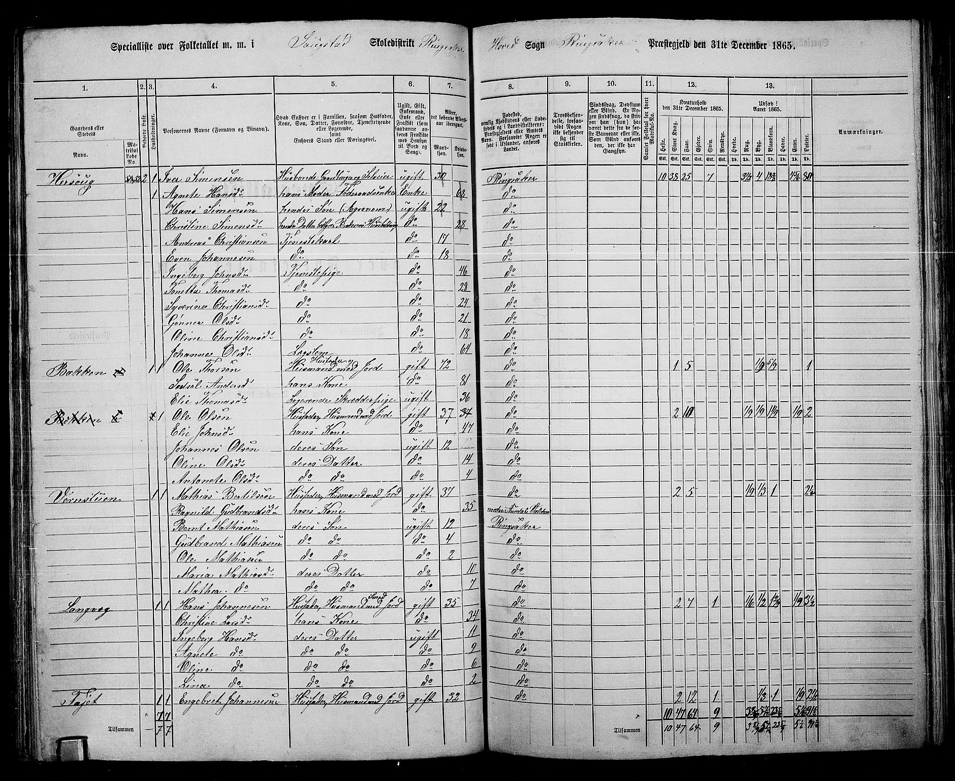 RA, 1865 census for Ringsaker, 1865, p. 101