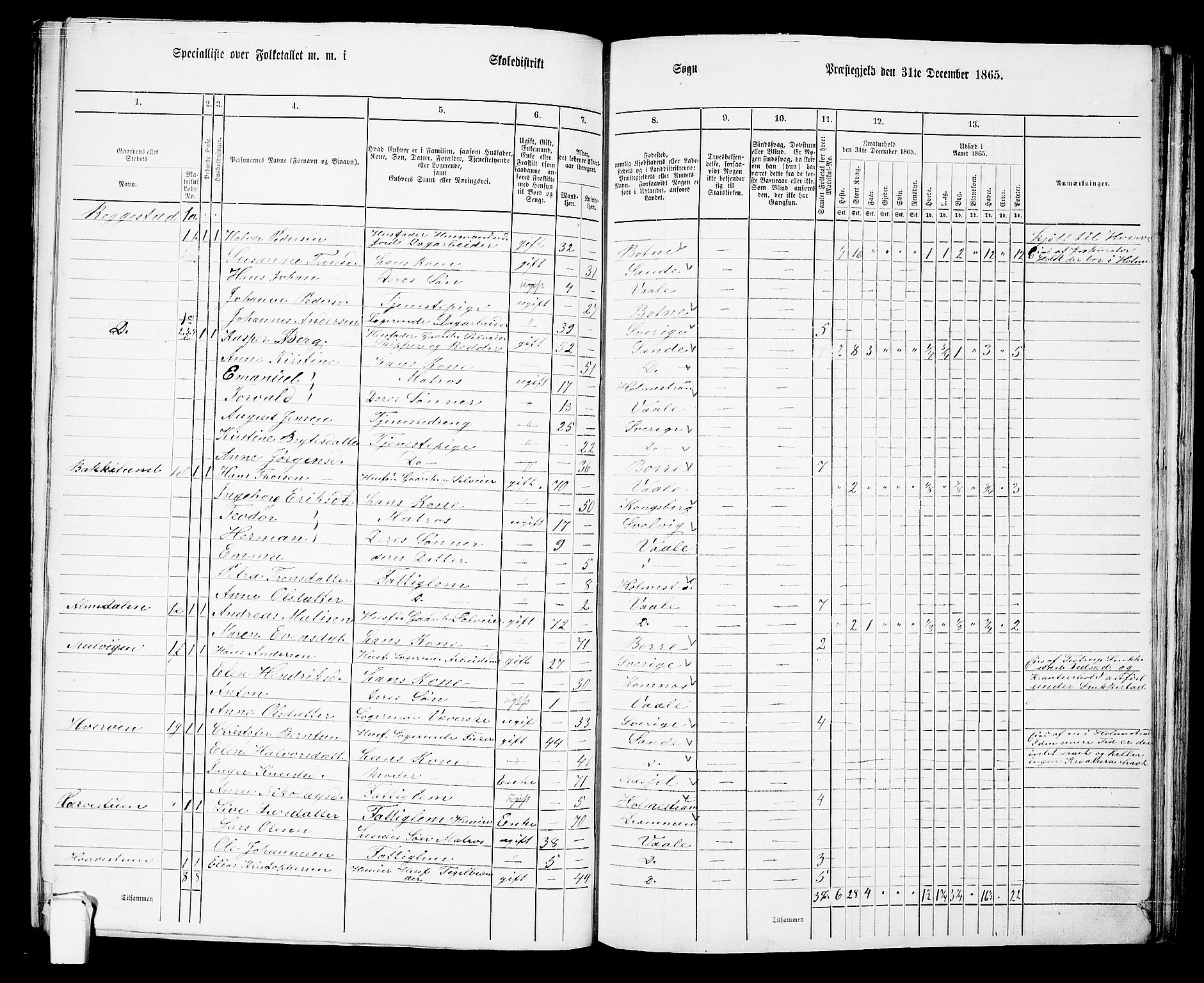 RA, 1865 census for Våle, 1865, p. 13