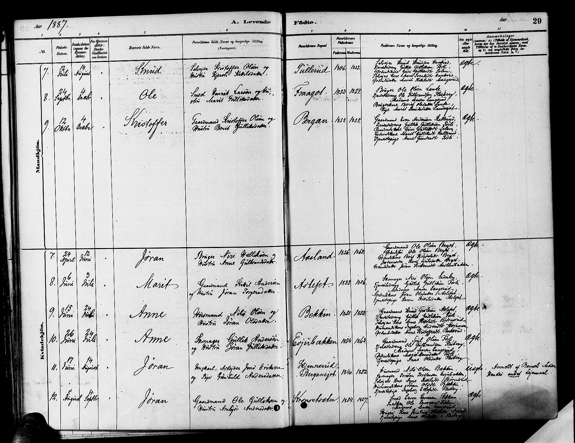 Flesberg kirkebøker, SAKO/A-18/F/Fa/L0008: Parish register (official) no. I 8, 1879-1899, p. 29