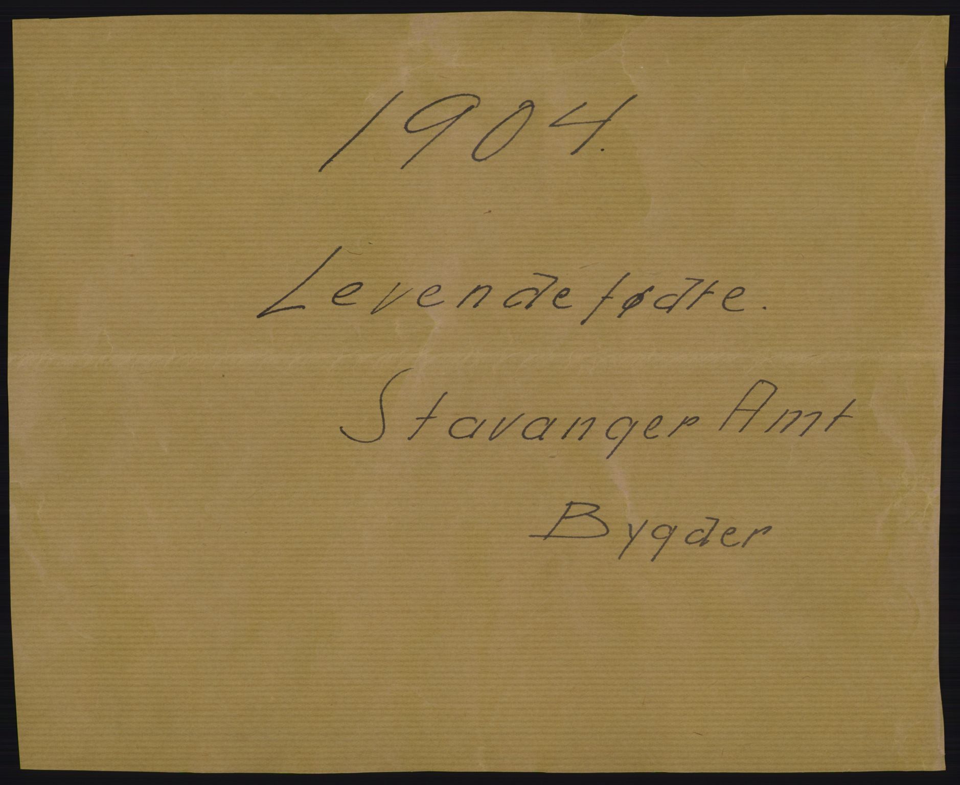 Statistisk sentralbyrå, Sosiodemografiske emner, Befolkning, AV/RA-S-2228/D/Df/Dfa/Dfab/L0012: Stavanger amt: Fødte, gifte, døde, 1904, p. 329