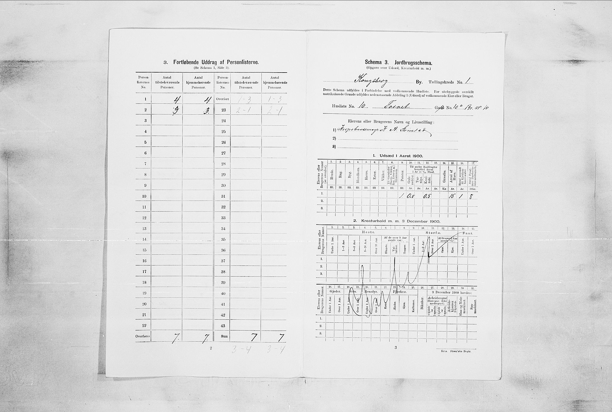 RA, 1900 census for Kongsberg, 1900, p. 75