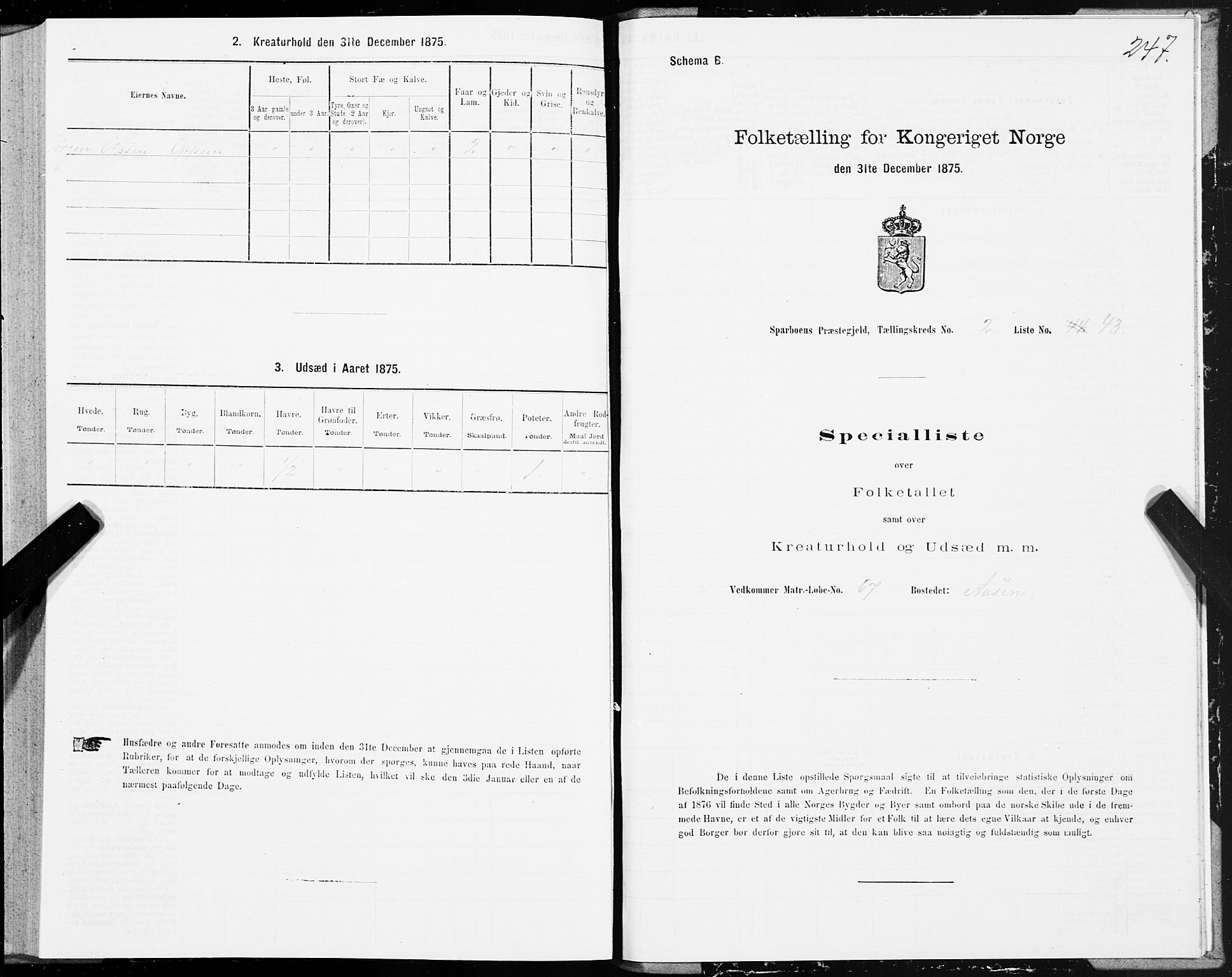 SAT, 1875 census for 1731P Sparbu, 1875, p. 1247