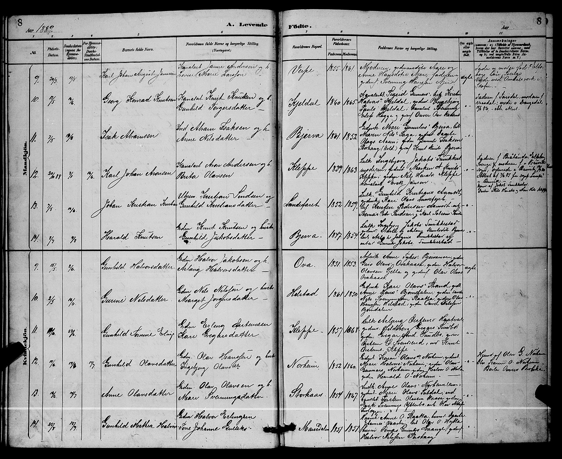 Lunde kirkebøker, AV/SAKO-A-282/G/Ga/L0002: Parish register (copy) no. I 2, 1887-1896, p. 8