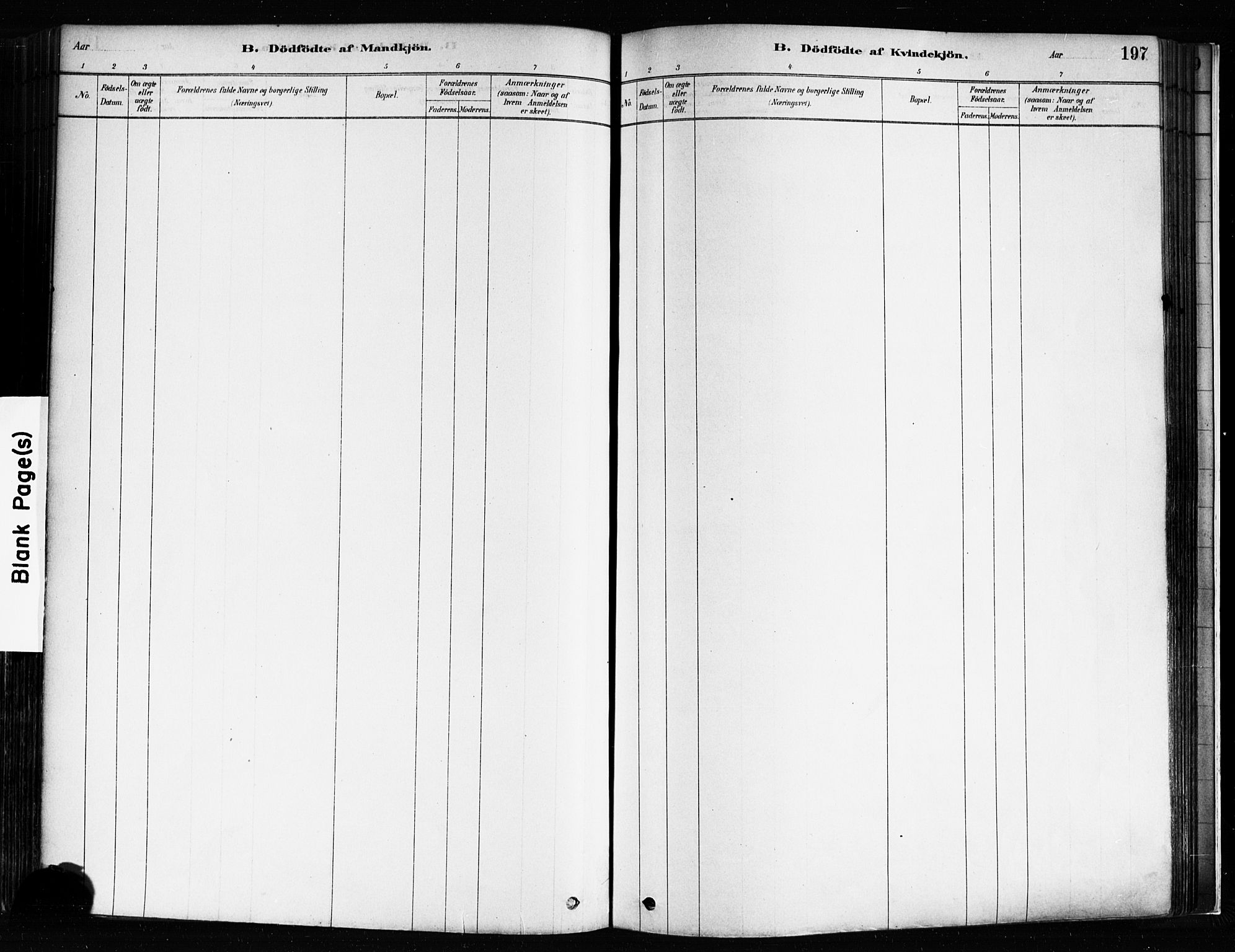 Idd prestekontor Kirkebøker, AV/SAO-A-10911/F/Fc/L0006a: Parish register (official) no. III 6A, 1878-1903, p. 197