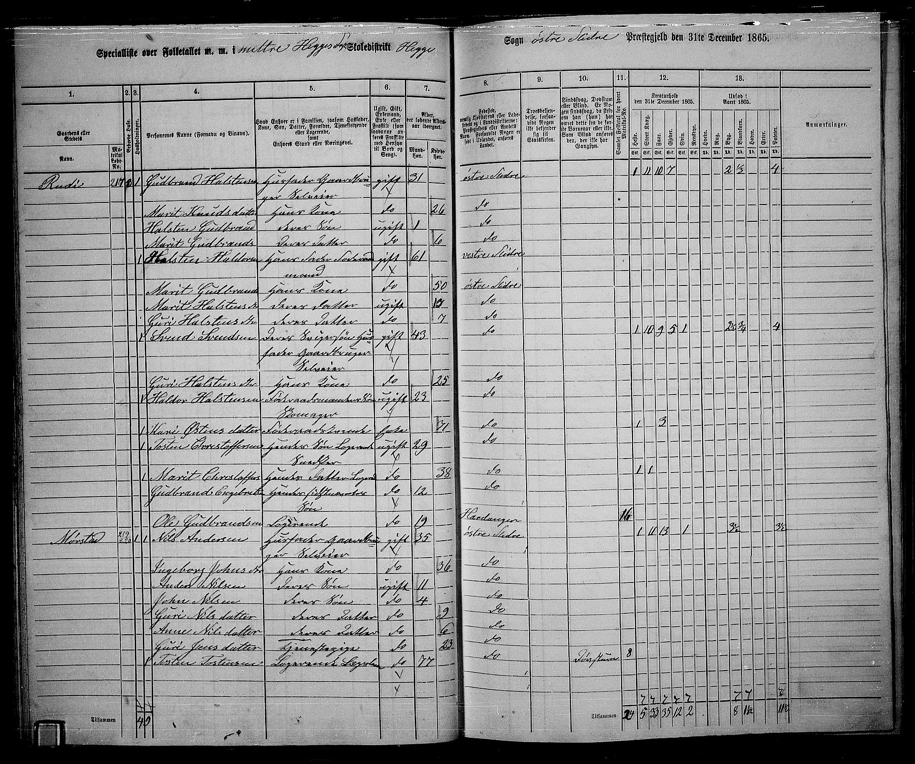 RA, 1865 census for Øystre Slidre, 1865, p. 31