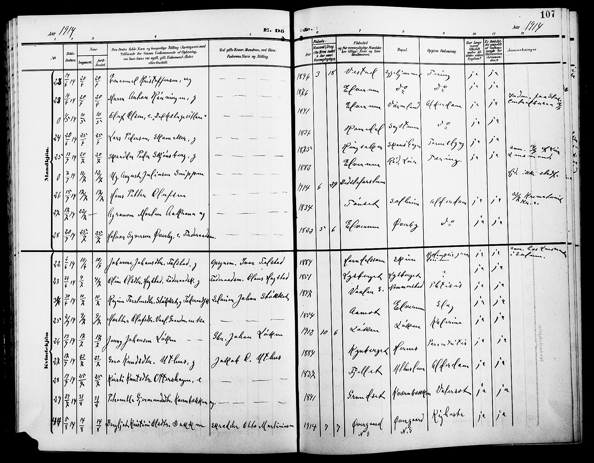 Elverum prestekontor, AV/SAH-PREST-044/H/Ha/Hab/L0009: Parish register (copy) no. 9, 1908-1921, p. 107