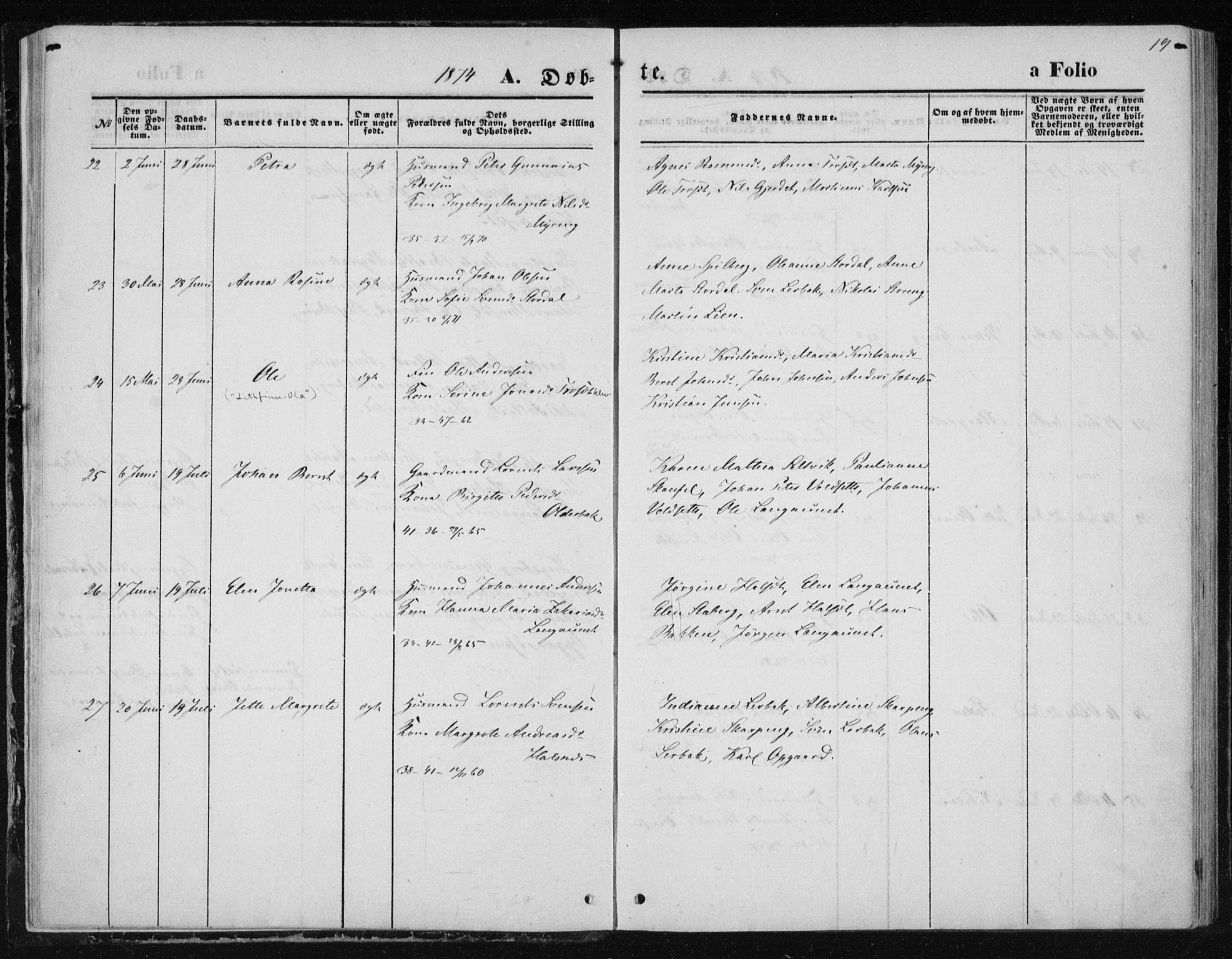 Ministerialprotokoller, klokkerbøker og fødselsregistre - Nord-Trøndelag, AV/SAT-A-1458/733/L0324: Parish register (official) no. 733A03, 1870-1883, p. 19