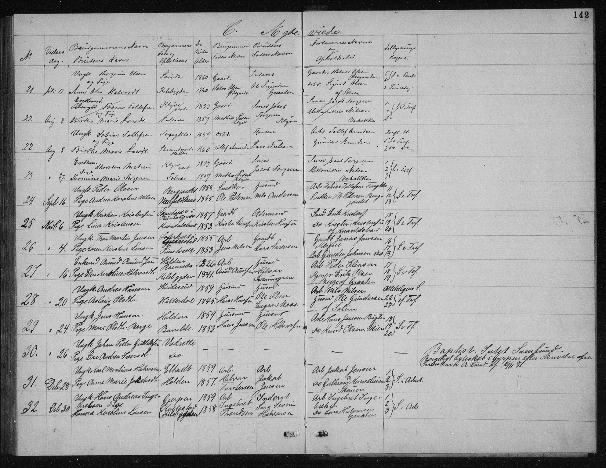 Solum kirkebøker, AV/SAKO-A-306/G/Ga/L0005: Parish register (copy) no. I 5, 1877-1881, p. 142