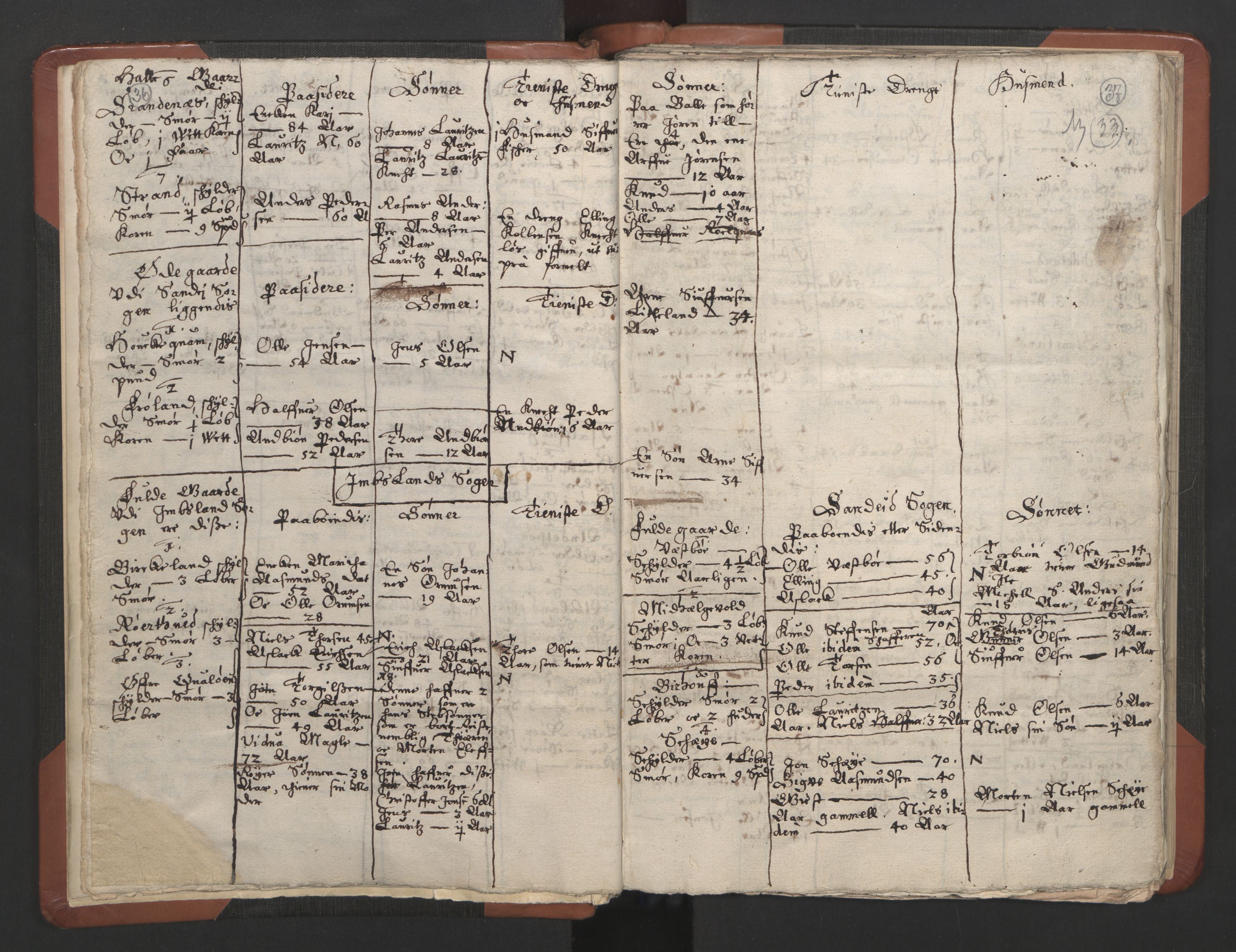 RA, Vicar's Census 1664-1666, no. 19: Ryfylke deanery, 1664-1666, p. 36-37