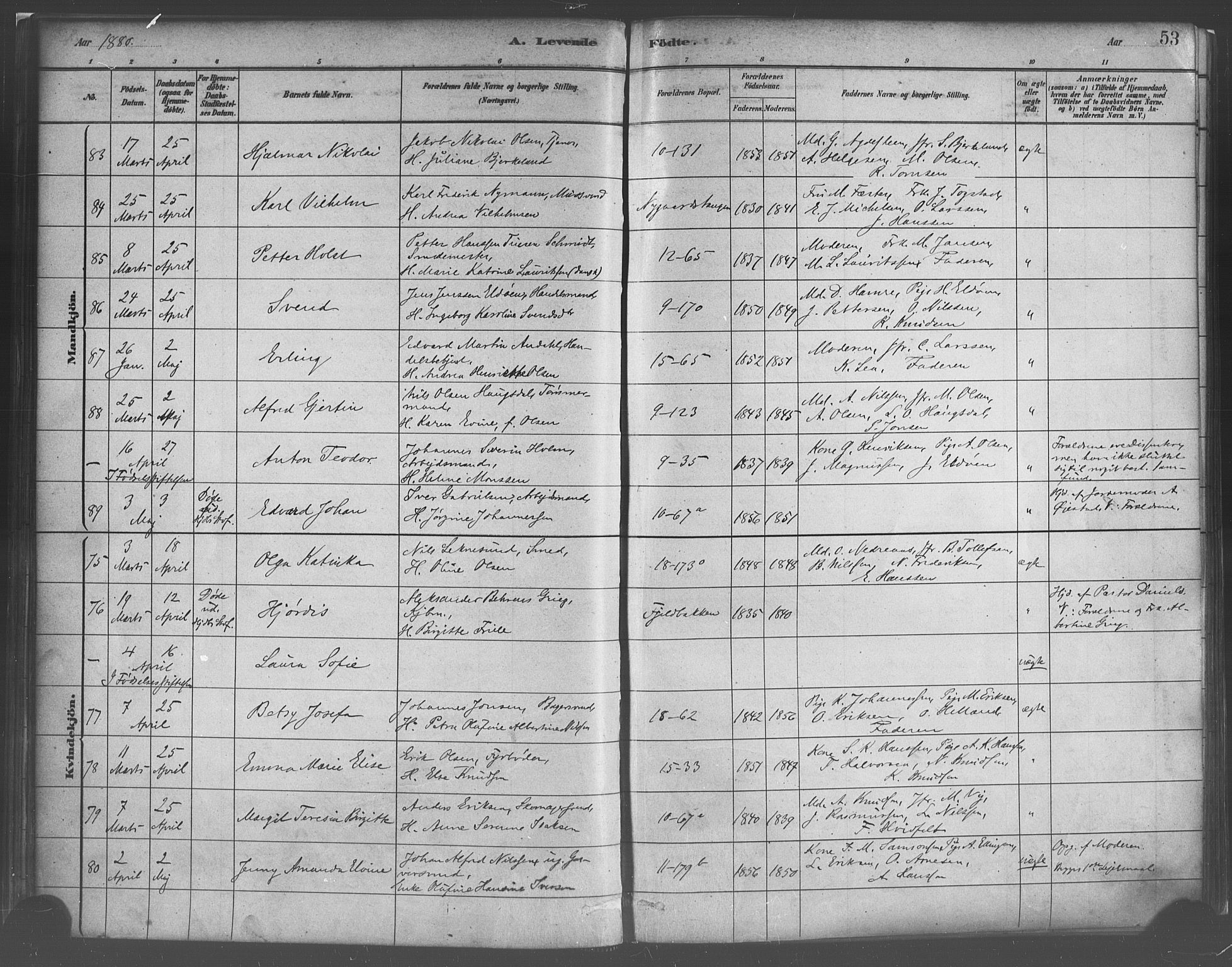 Domkirken sokneprestembete, SAB/A-74801/H/Haa/L0023: Parish register (official) no. B 6, 1879-1887, p. 53