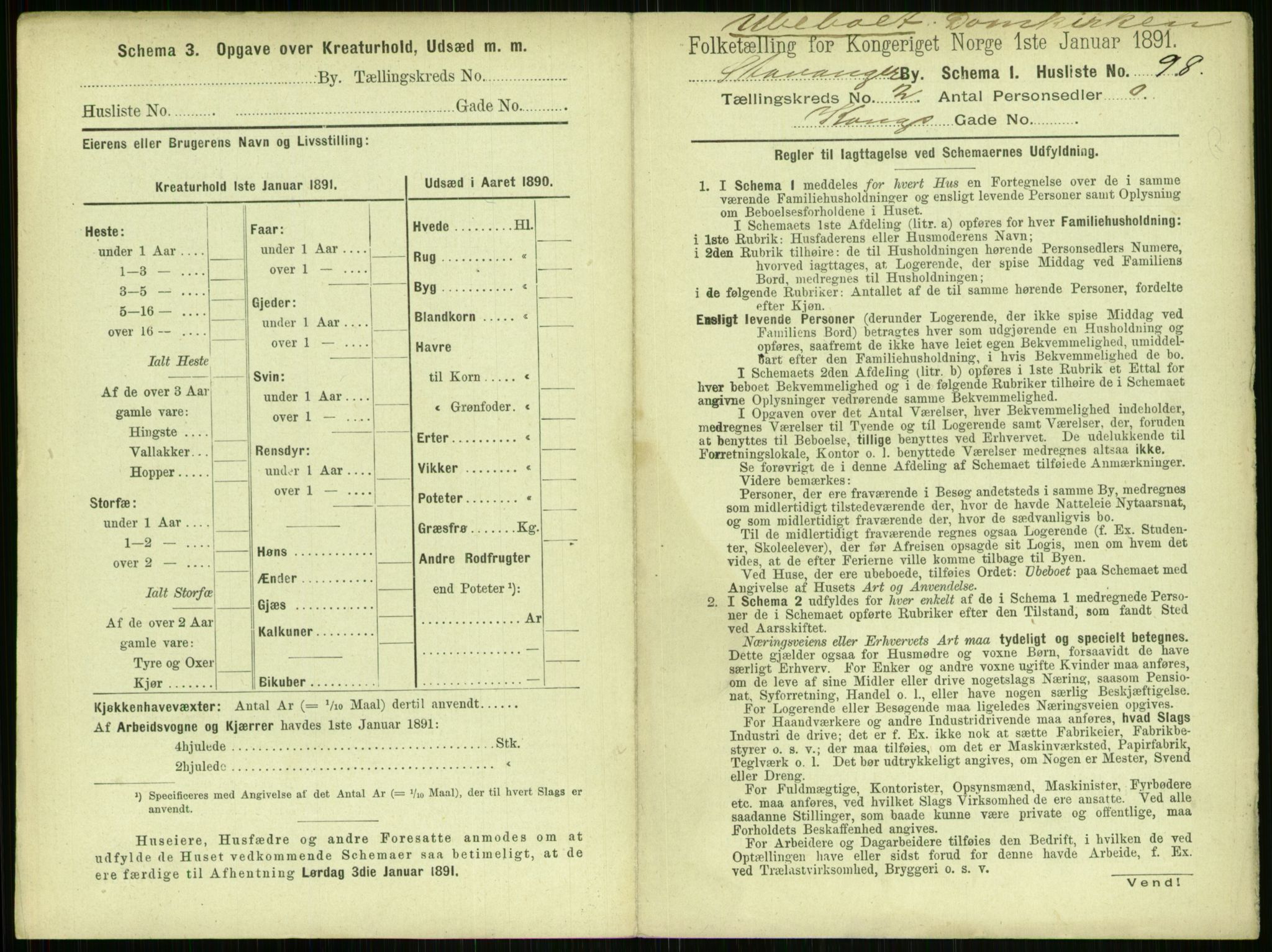 RA, 1891 census for 1103 Stavanger, 1891, p. 461