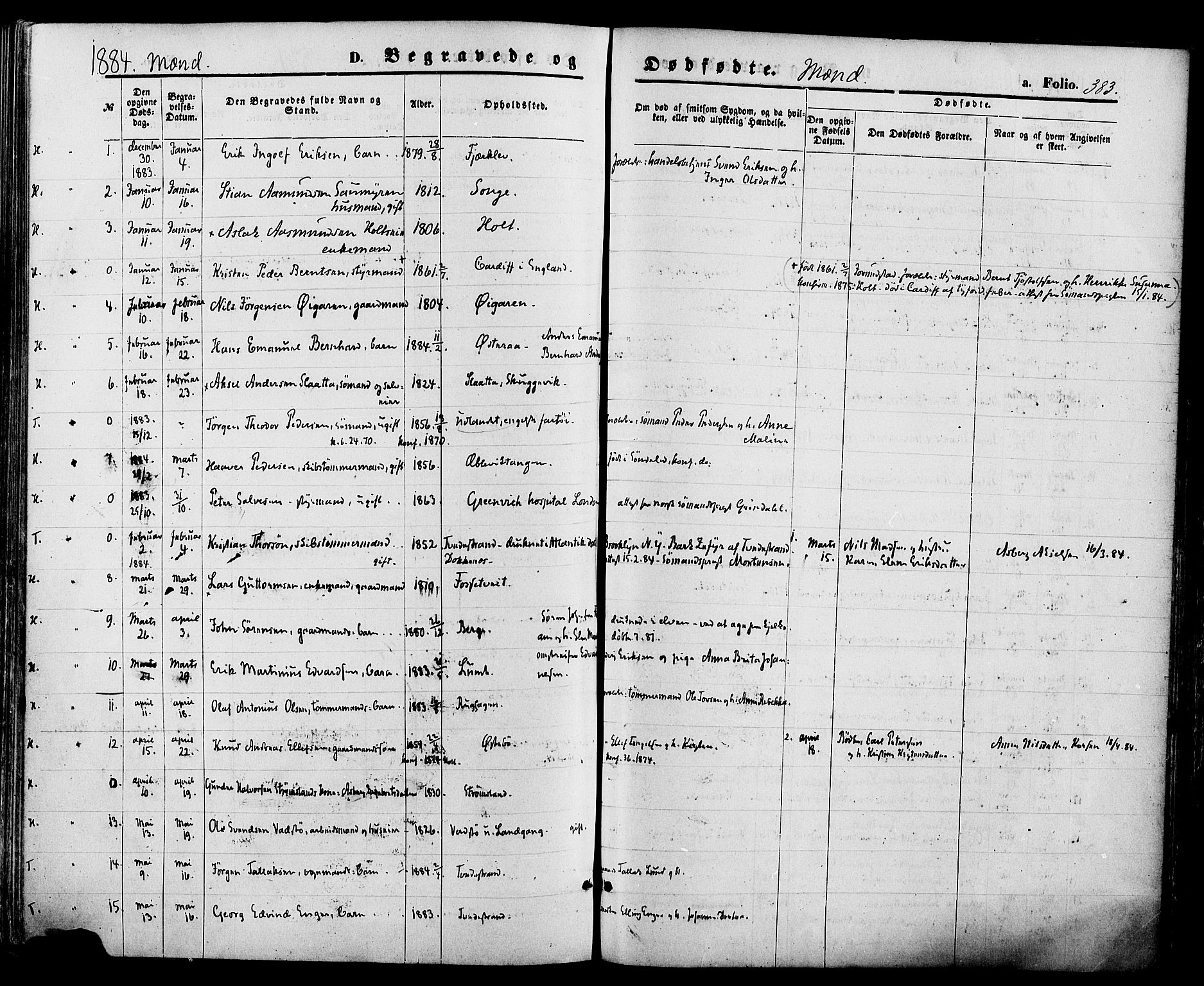 Holt sokneprestkontor, SAK/1111-0021/F/Fa/L0010: Parish register (official) no. A 10, 1872-1885, p. 383