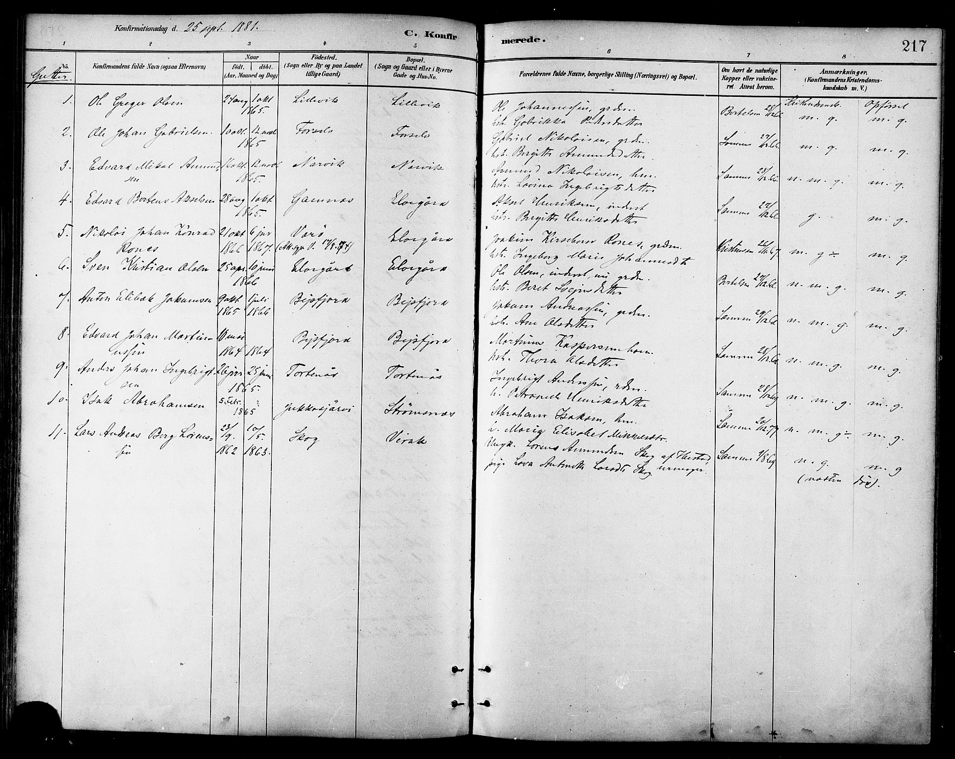 Ministerialprotokoller, klokkerbøker og fødselsregistre - Nordland, AV/SAT-A-1459/866/L0938: Parish register (official) no. 866A01, 1879-1893, p. 217