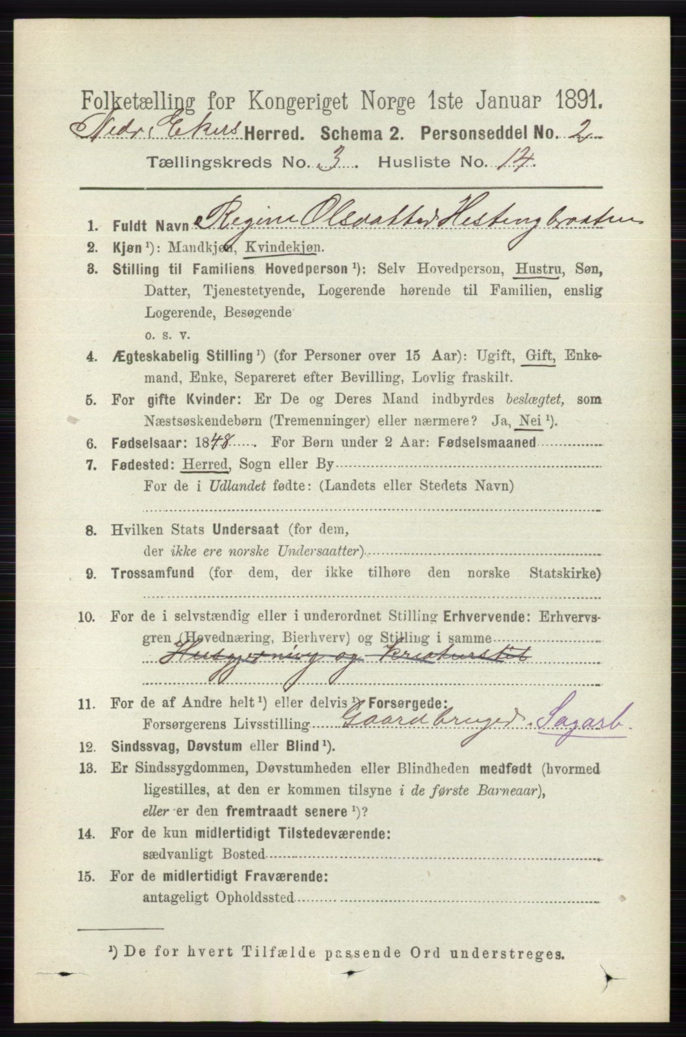 RA, 1891 census for 0625 Nedre Eiker, 1891, p. 1256
