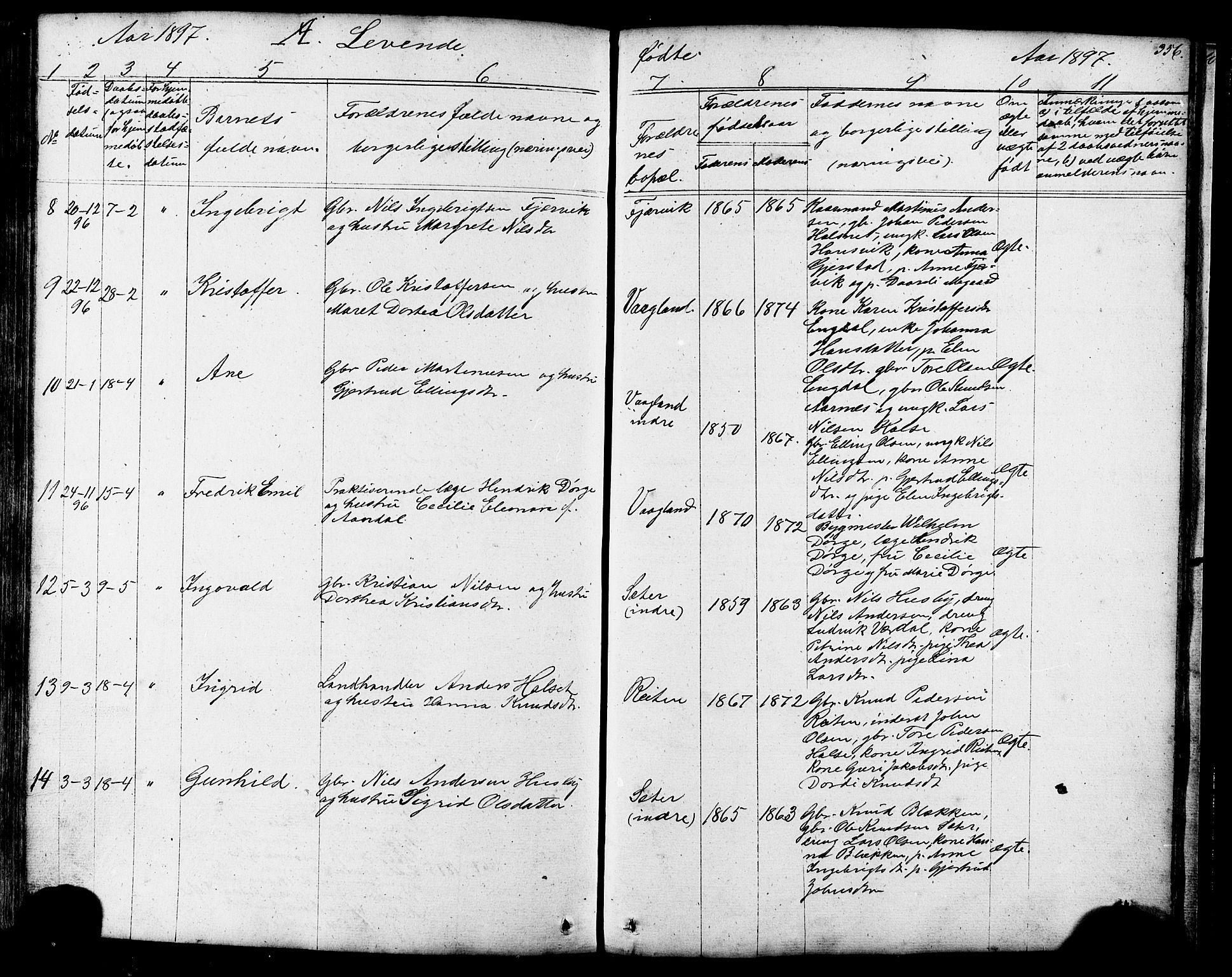 Ministerialprotokoller, klokkerbøker og fødselsregistre - Møre og Romsdal, AV/SAT-A-1454/576/L0890: Parish register (copy) no. 576C01, 1837-1908, p. 356