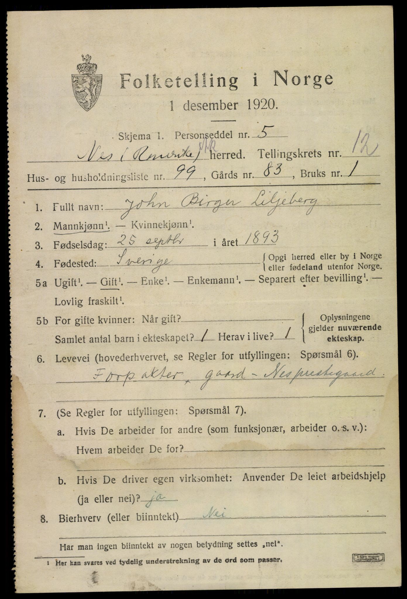 SAO, 1920 census for Nes, 1920, p. 13414