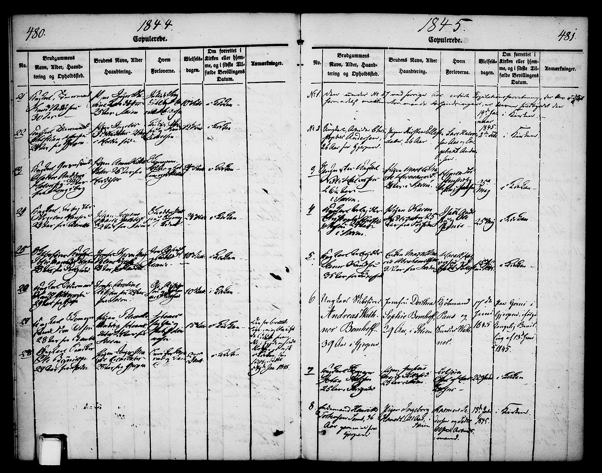 Skien kirkebøker, AV/SAKO-A-302/F/Fa/L0006b: Parish register (official) no. 6B, 1843-1846, p. 480-481