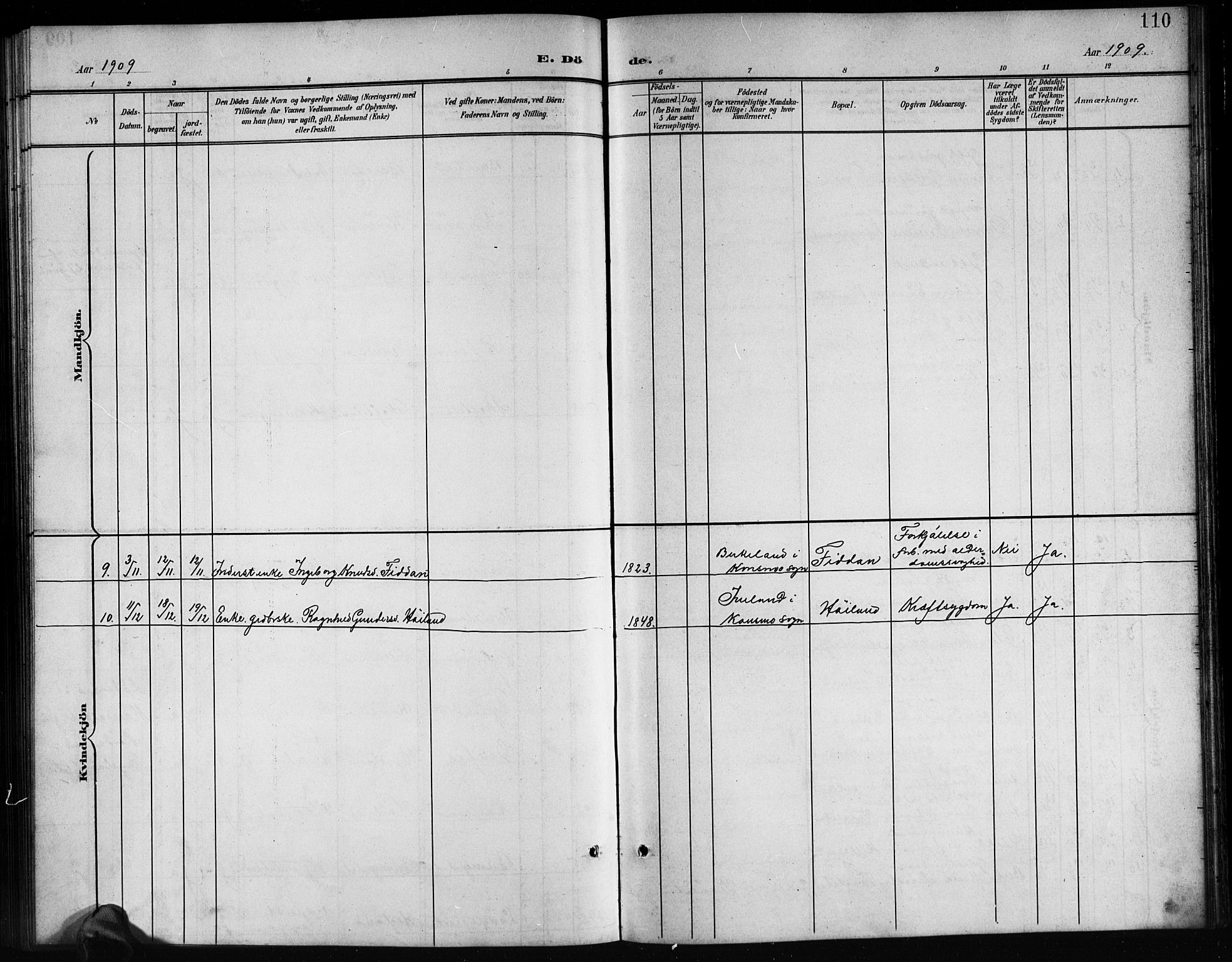 Nord-Audnedal sokneprestkontor, AV/SAK-1111-0032/F/Fb/Fba/L0004: Parish register (copy) no. B 4, 1901-1917, p. 110