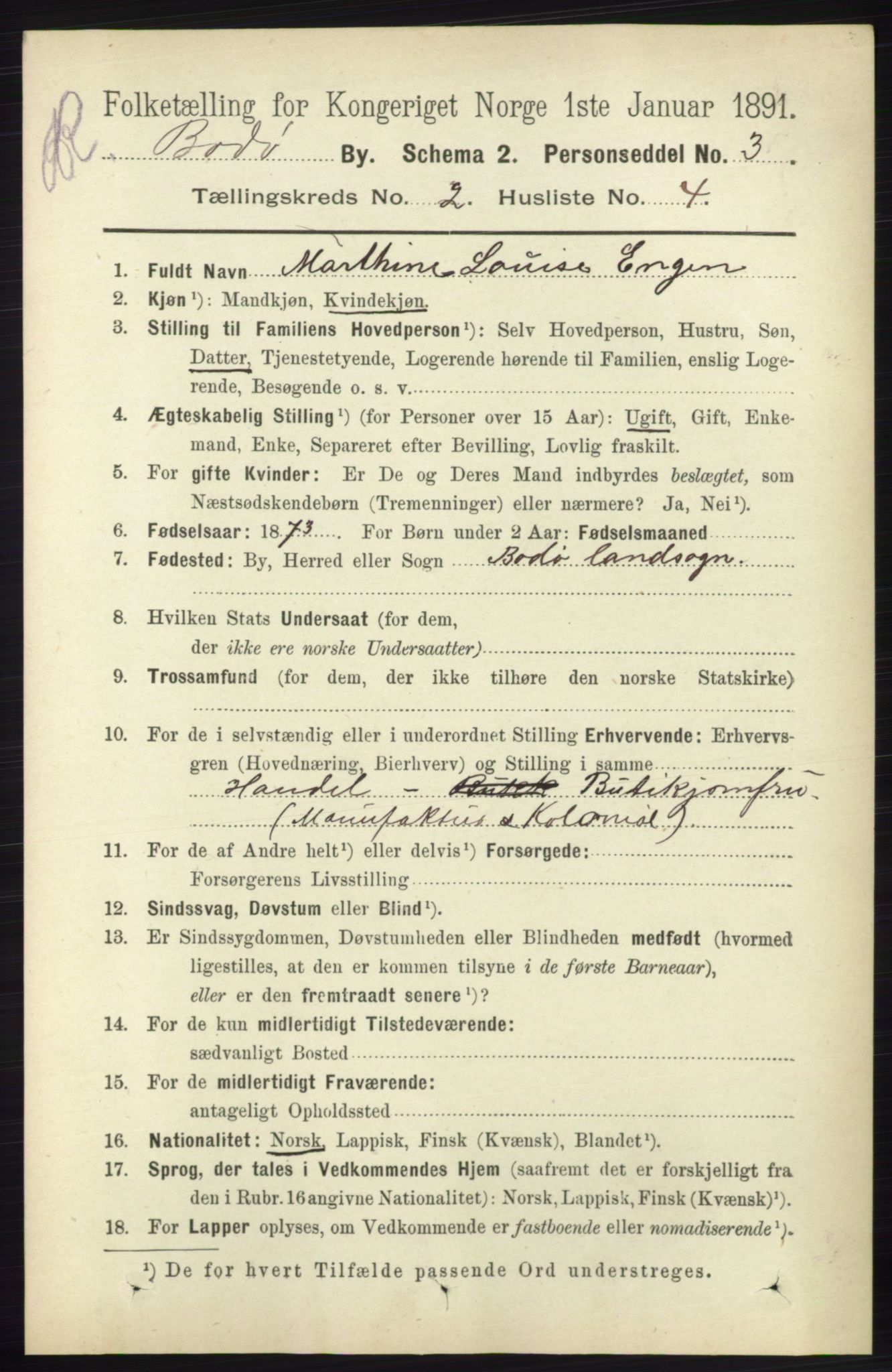 RA, 1891 census for 1804 Bodø, 1891, p. 1038