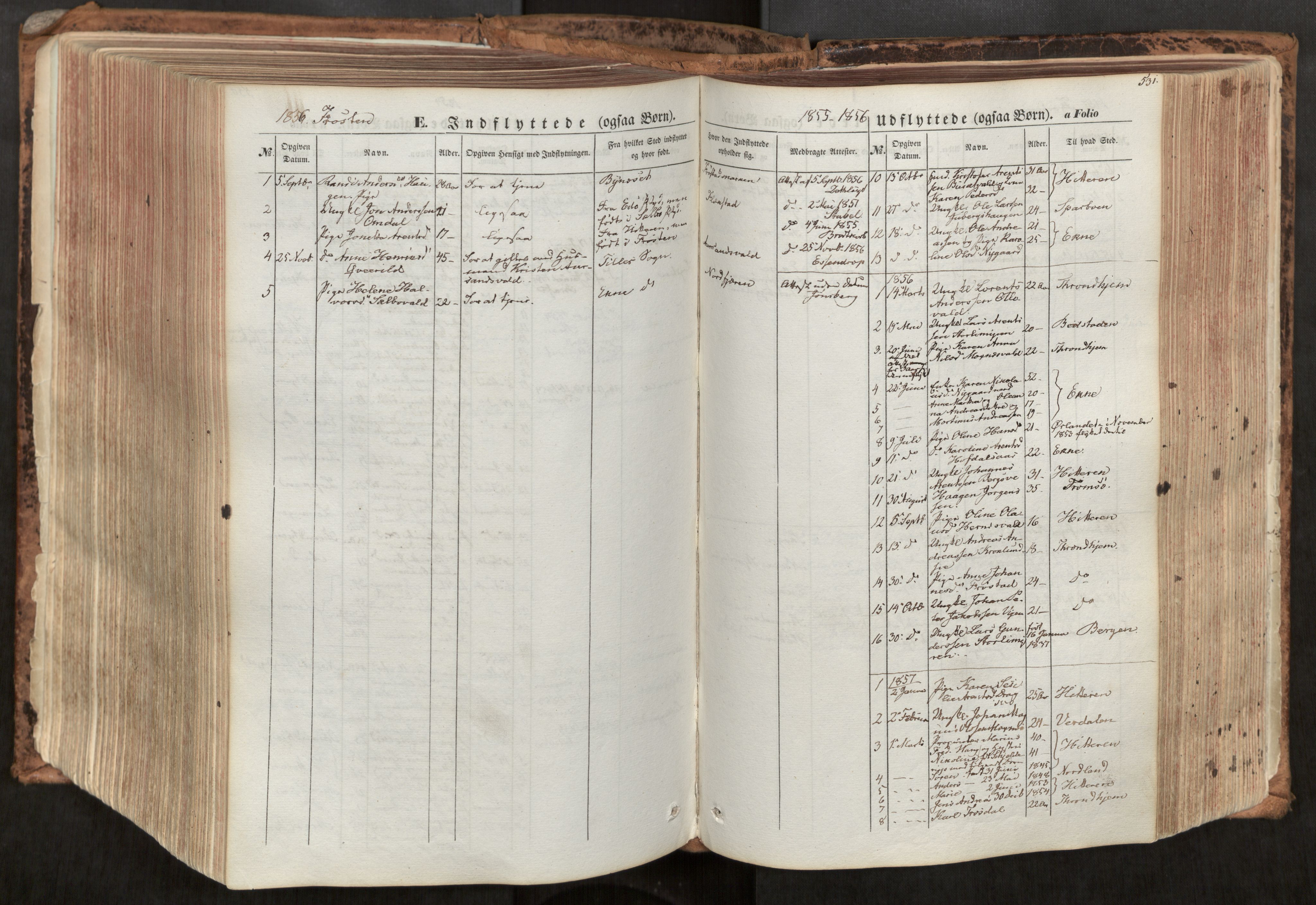 Ministerialprotokoller, klokkerbøker og fødselsregistre - Nord-Trøndelag, SAT/A-1458/713/L0116: Parish register (official) no. 713A07, 1850-1877, p. 531