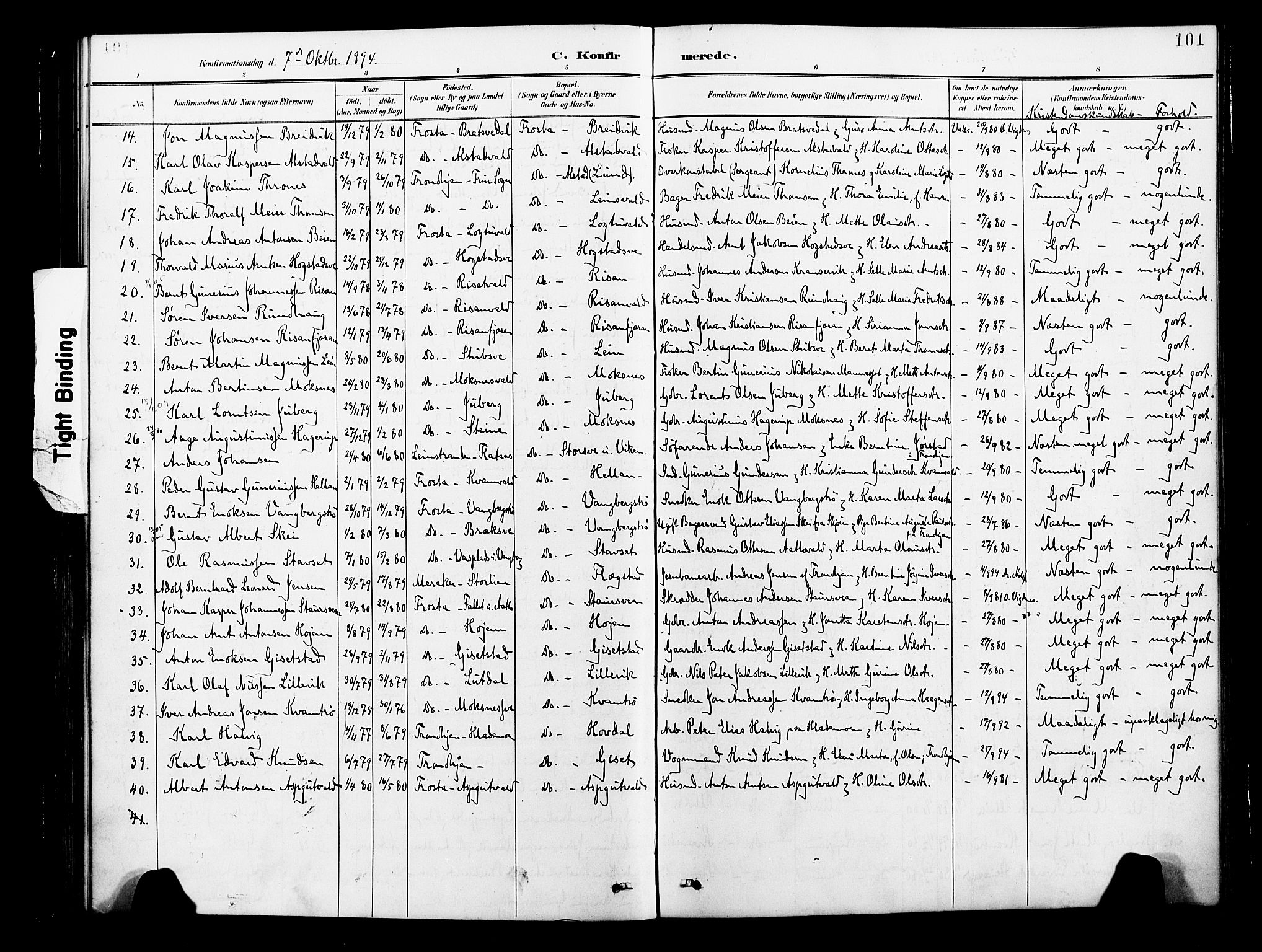 Ministerialprotokoller, klokkerbøker og fødselsregistre - Nord-Trøndelag, SAT/A-1458/713/L0121: Parish register (official) no. 713A10, 1888-1898, p. 101