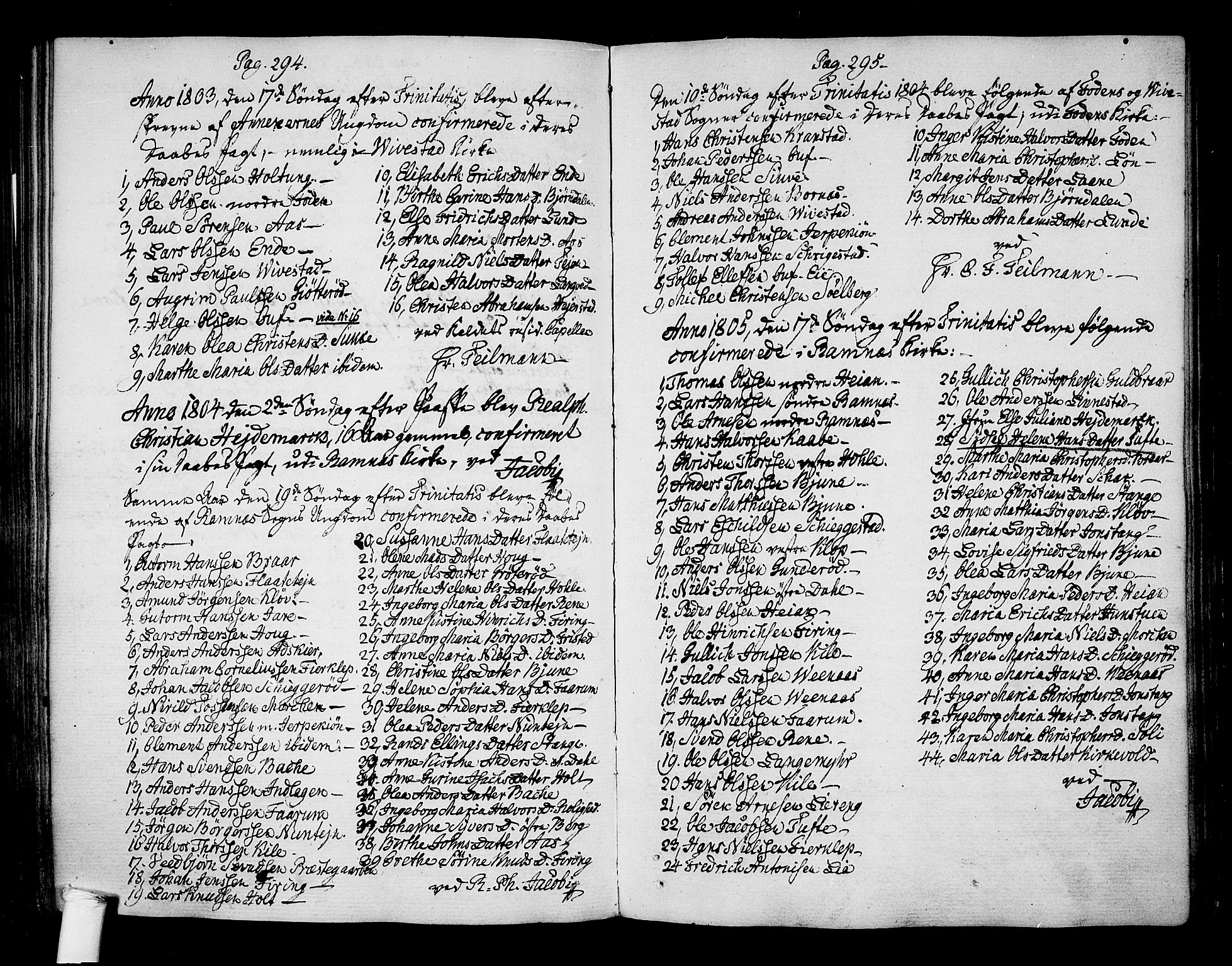 Ramnes kirkebøker, AV/SAKO-A-314/F/Fa/L0003: Parish register (official) no. I 3, 1790-1813, p. 294-295