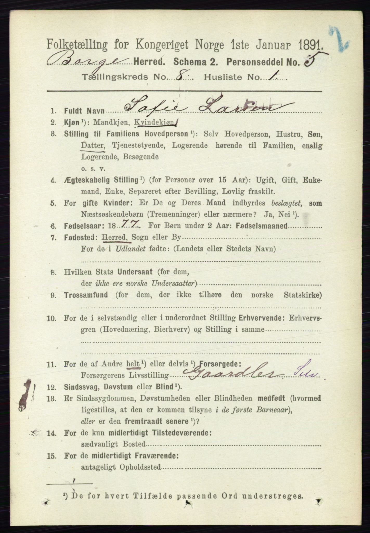 RA, 1891 census for 0113 Borge, 1891, p. 5133