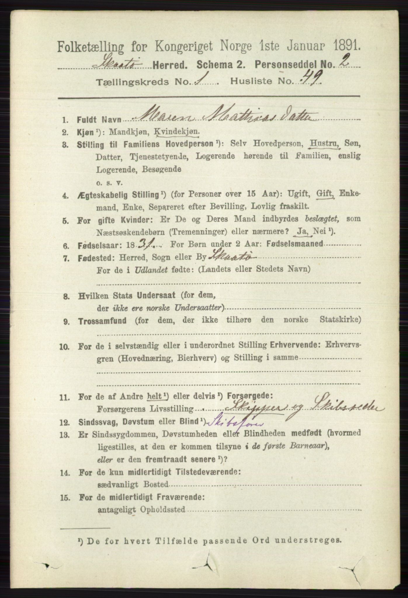 RA, 1891 census for 0815 Skåtøy, 1891, p. 377