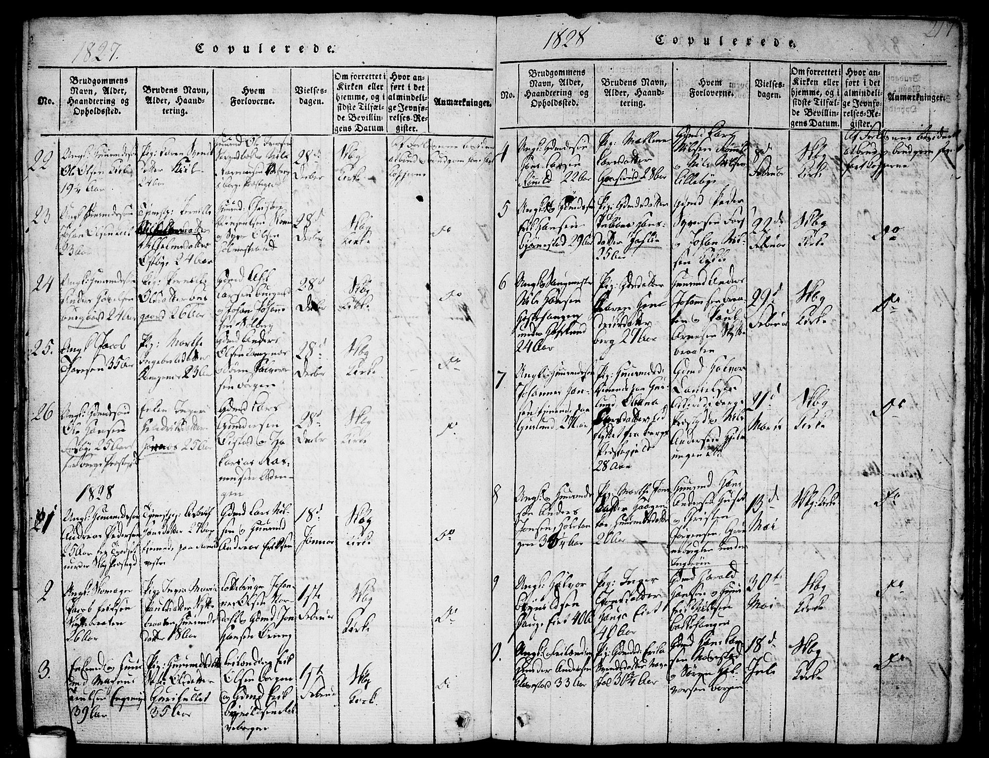 Skjeberg prestekontor Kirkebøker, SAO/A-10923/F/Fa/L0004: Parish register (official) no. I 4, 1815-1830, p. 217