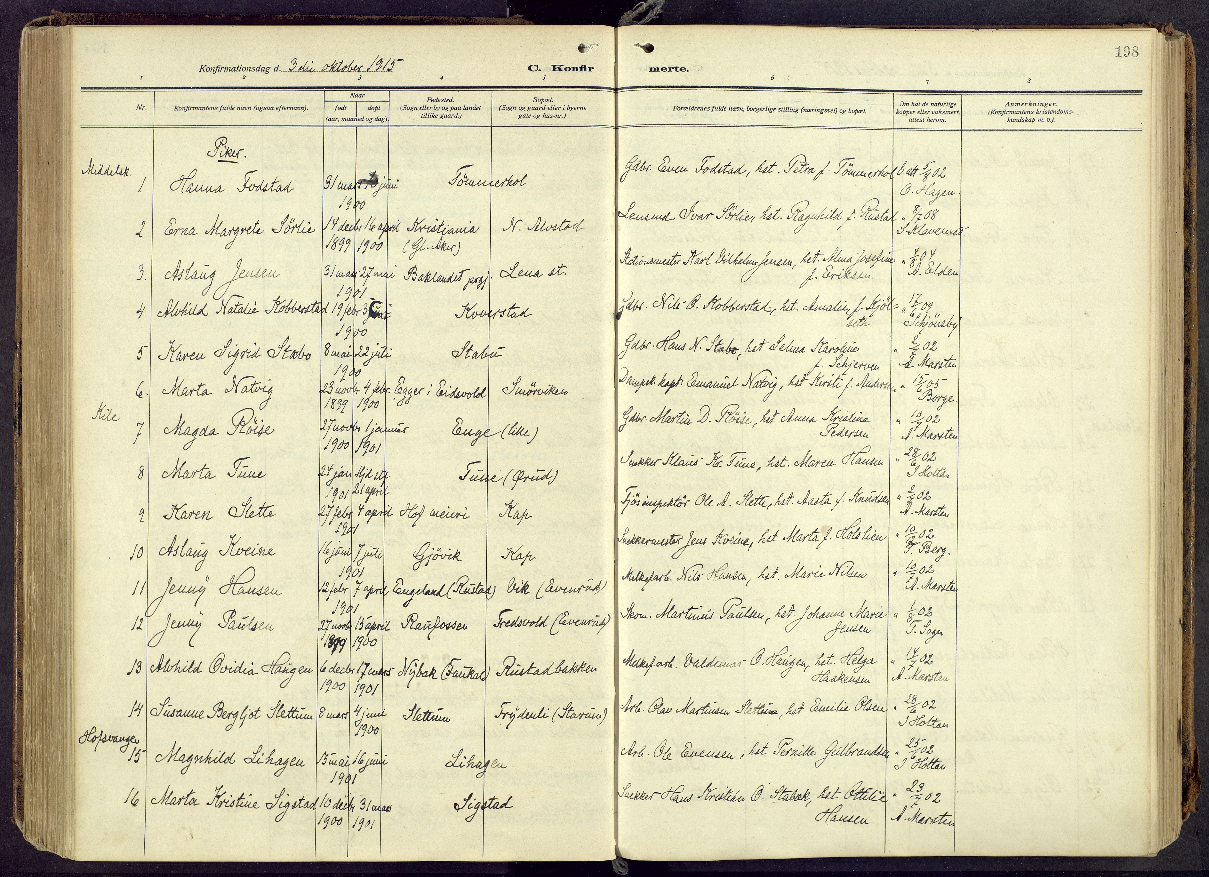 Østre Toten prestekontor, AV/SAH-PREST-104/H/Ha/Haa/L0010: Parish register (official) no. 10, 1910-1920, p. 198