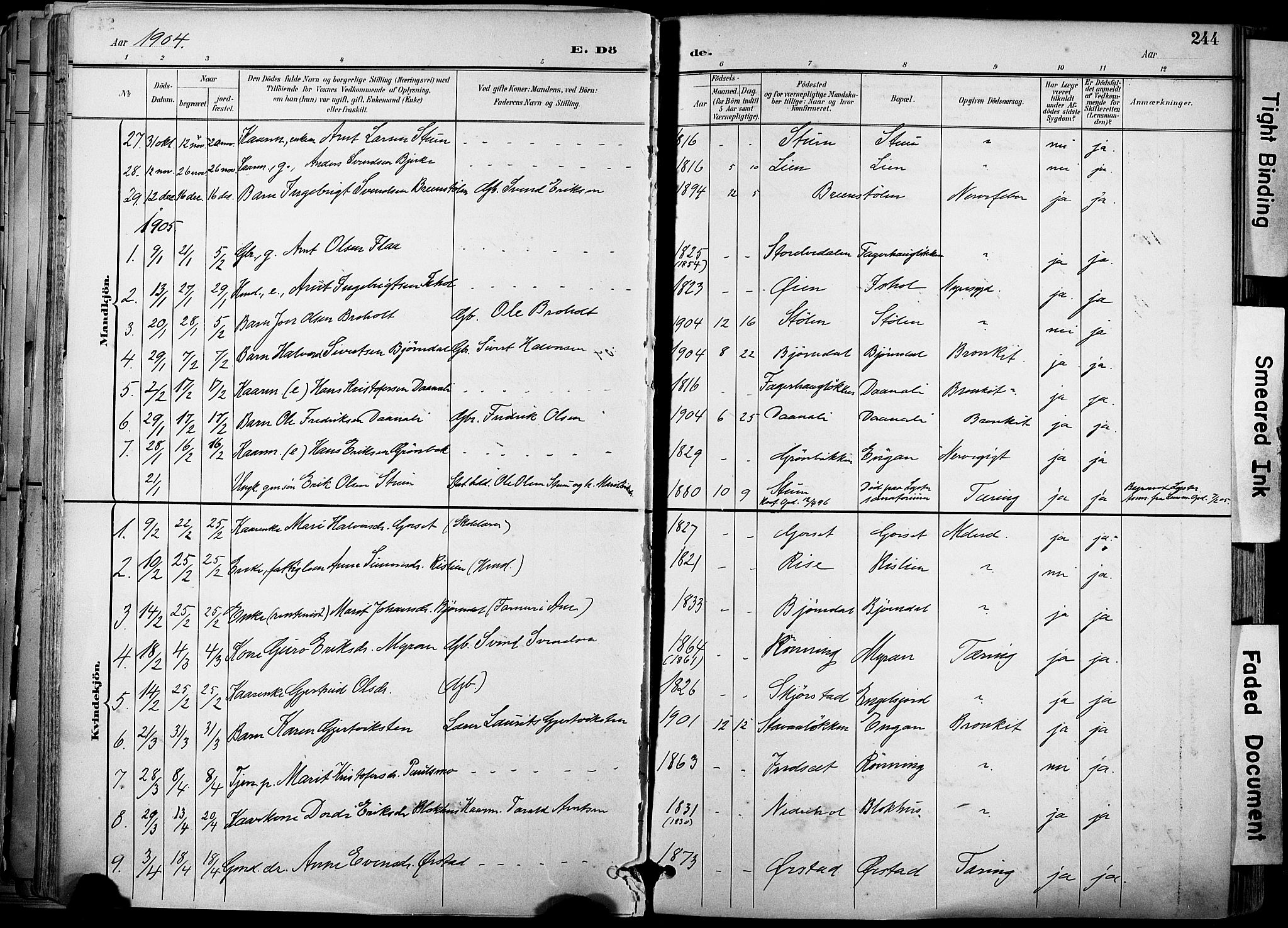 Ministerialprotokoller, klokkerbøker og fødselsregistre - Sør-Trøndelag, SAT/A-1456/678/L0902: Parish register (official) no. 678A11, 1895-1911, p. 244