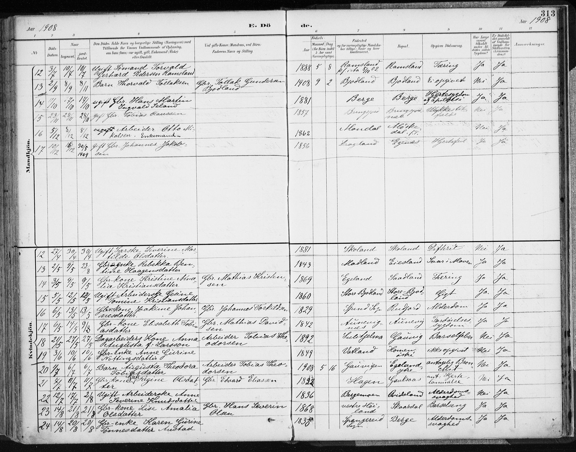 Lyngdal sokneprestkontor, AV/SAK-1111-0029/F/Fa/Fac/L0012: Parish register (official) no. A 12, 1894-1918, p. 313