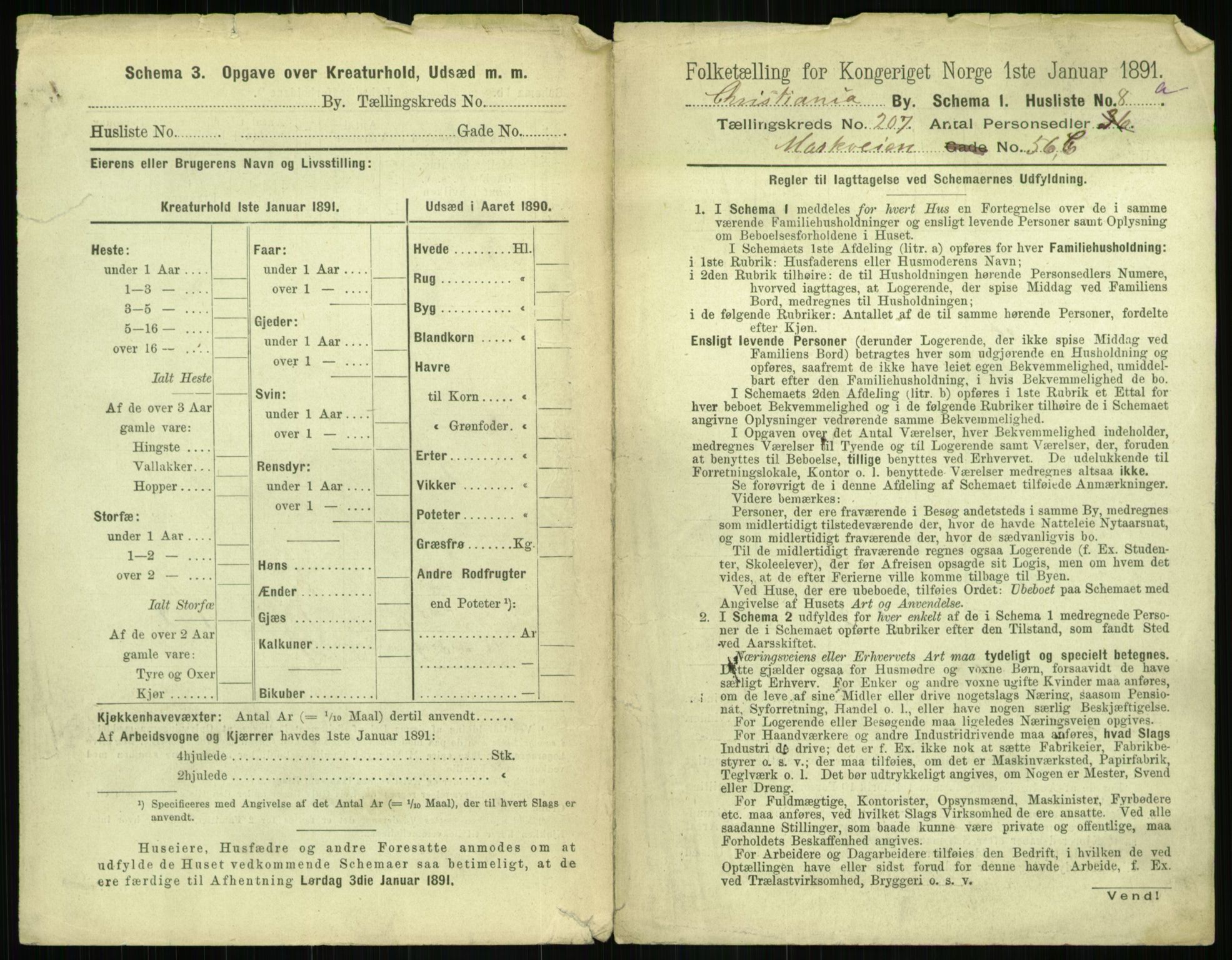 RA, 1891 census for 0301 Kristiania, 1891, p. 124268