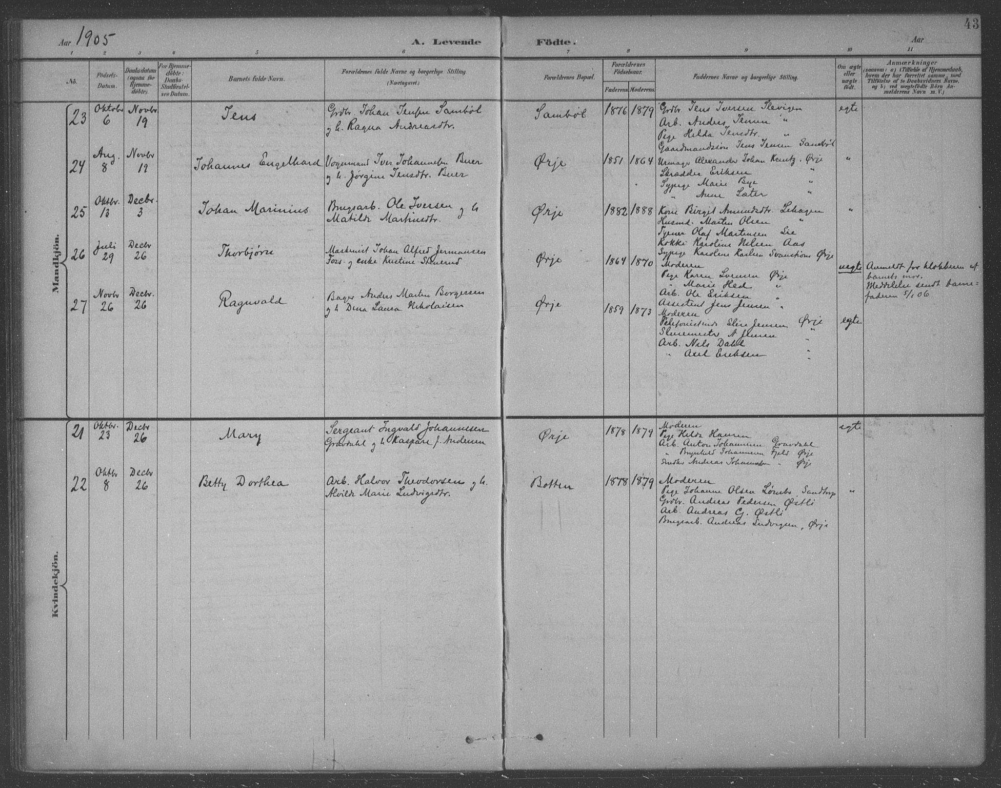 Aremark prestekontor Kirkebøker, SAO/A-10899/F/Fb/L0005: Parish register (official) no. II 5, 1895-1919, p. 43