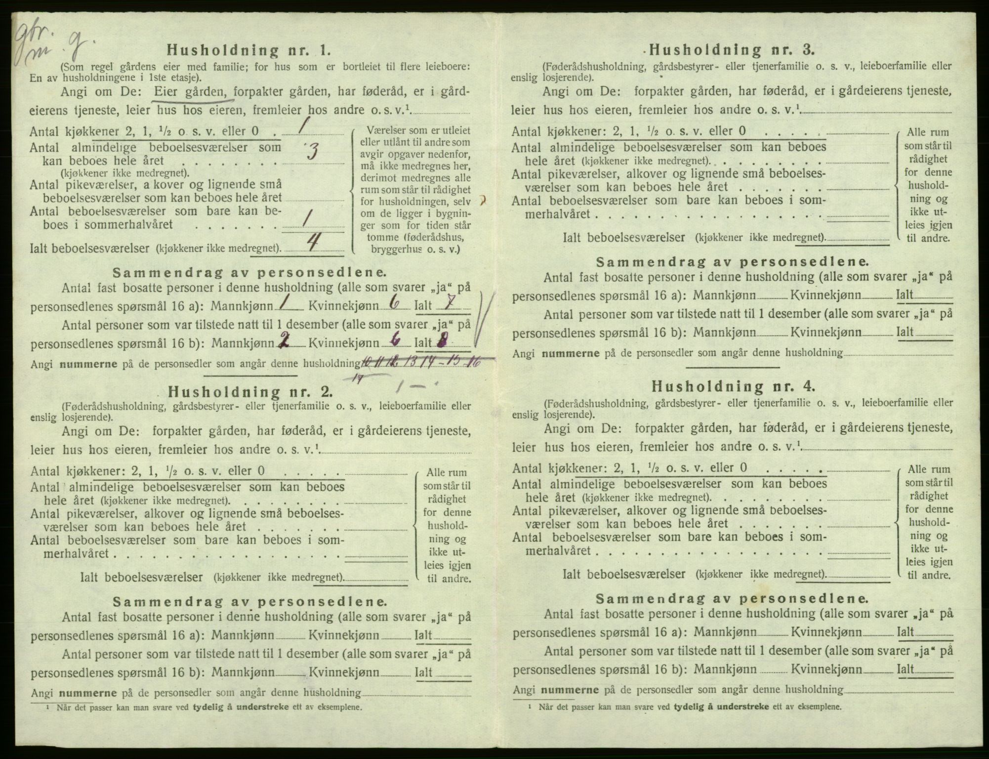 SAB, 1920 census for Eidfjord, 1920, p. 295