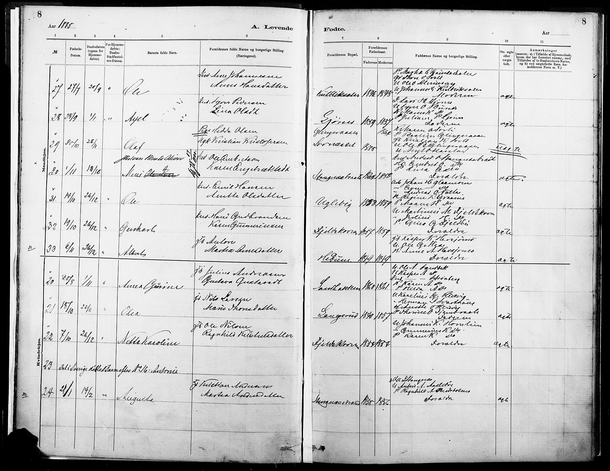 Eidskog prestekontor, SAH/PREST-026/H/Ha/Haa/L0004: Parish register (official) no. 4, 1884-1897, p. 8